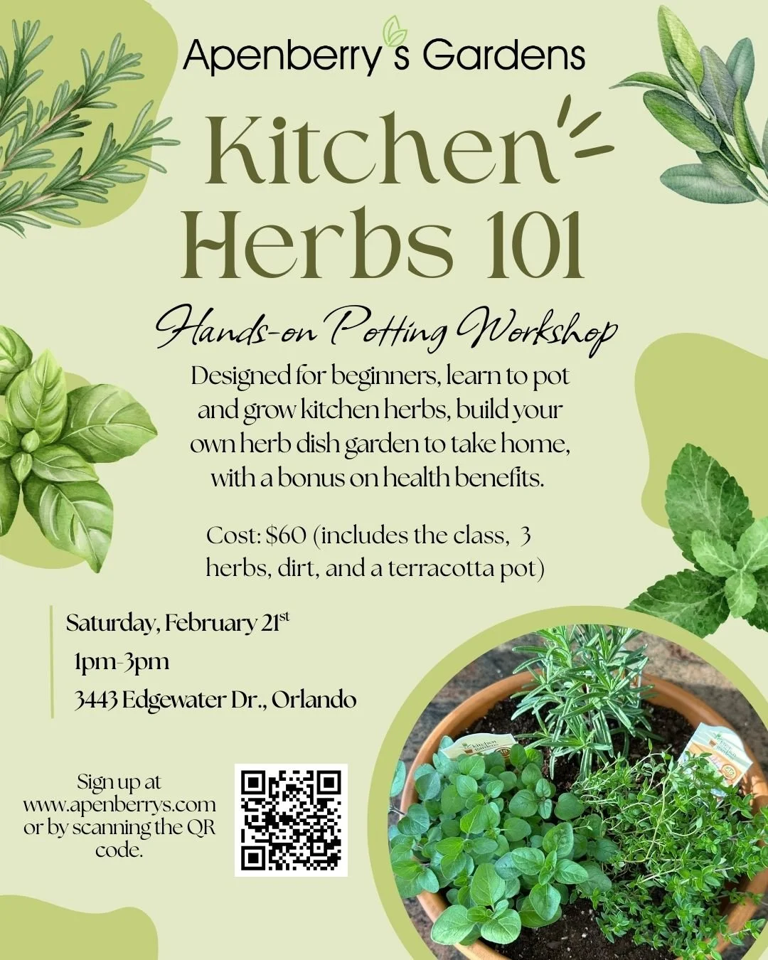 Kitchen herbs 101- Hands-on Potting Workshop