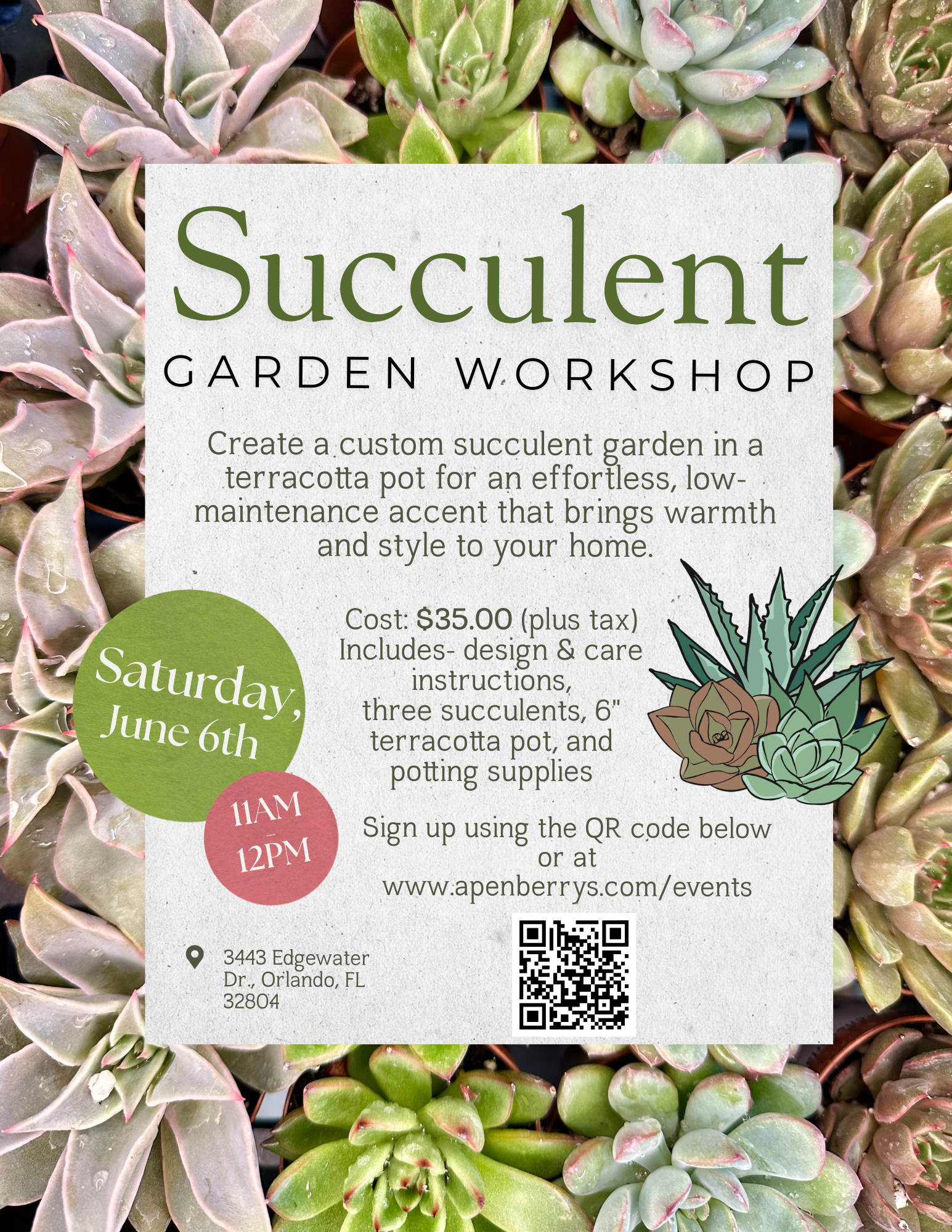 Succulent Garden Workshop