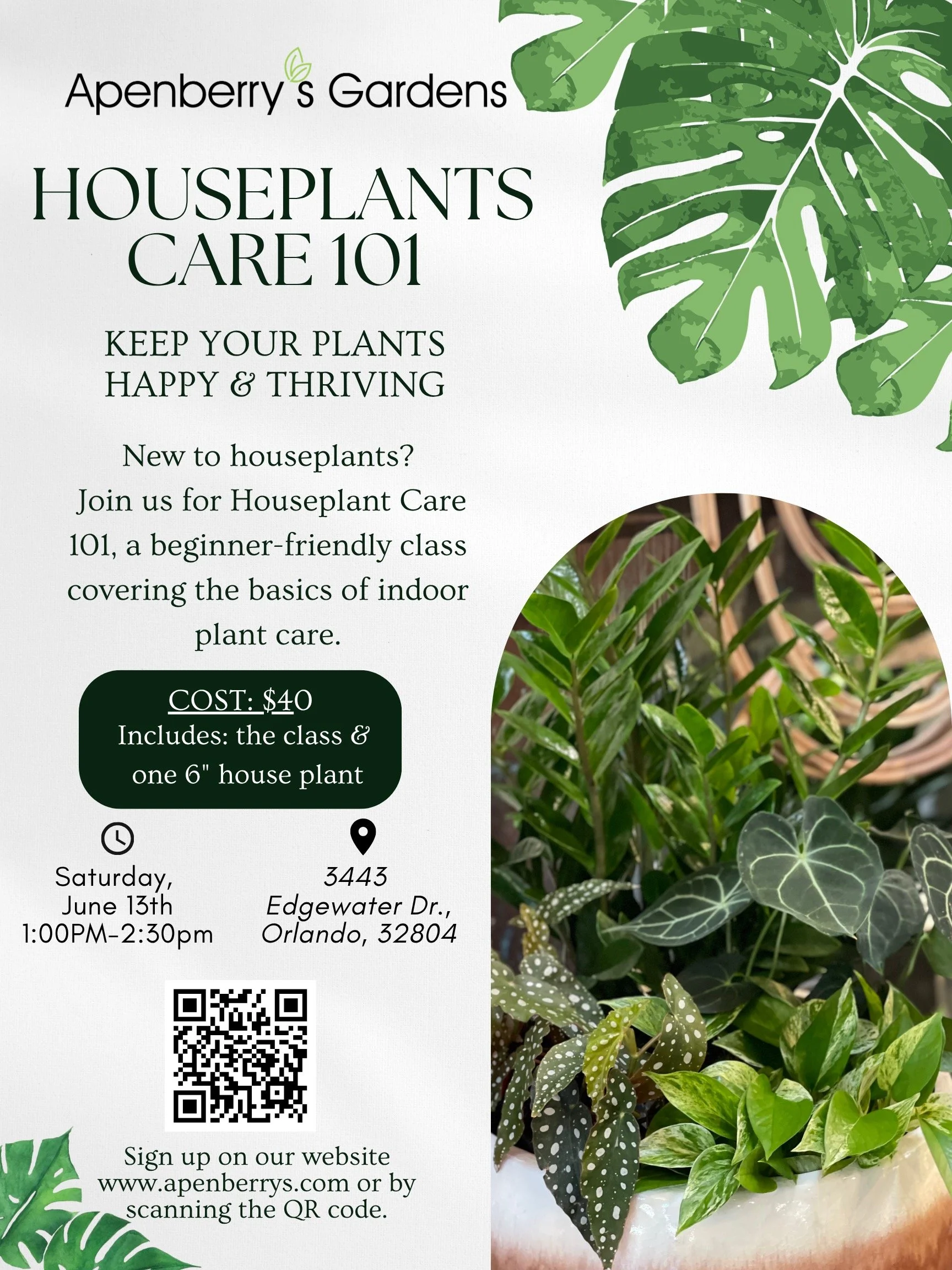 Houseplant Care 101