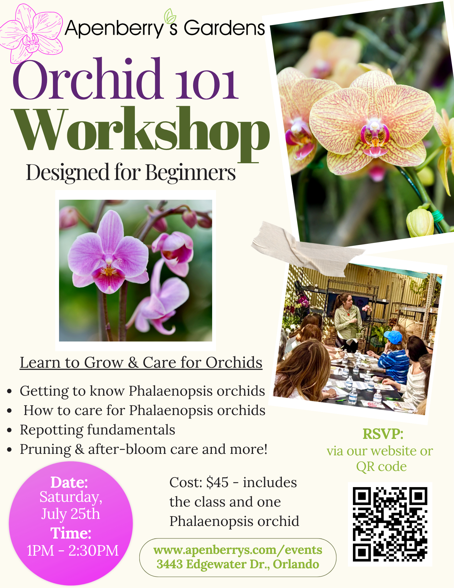 Orchids 101 Workshop