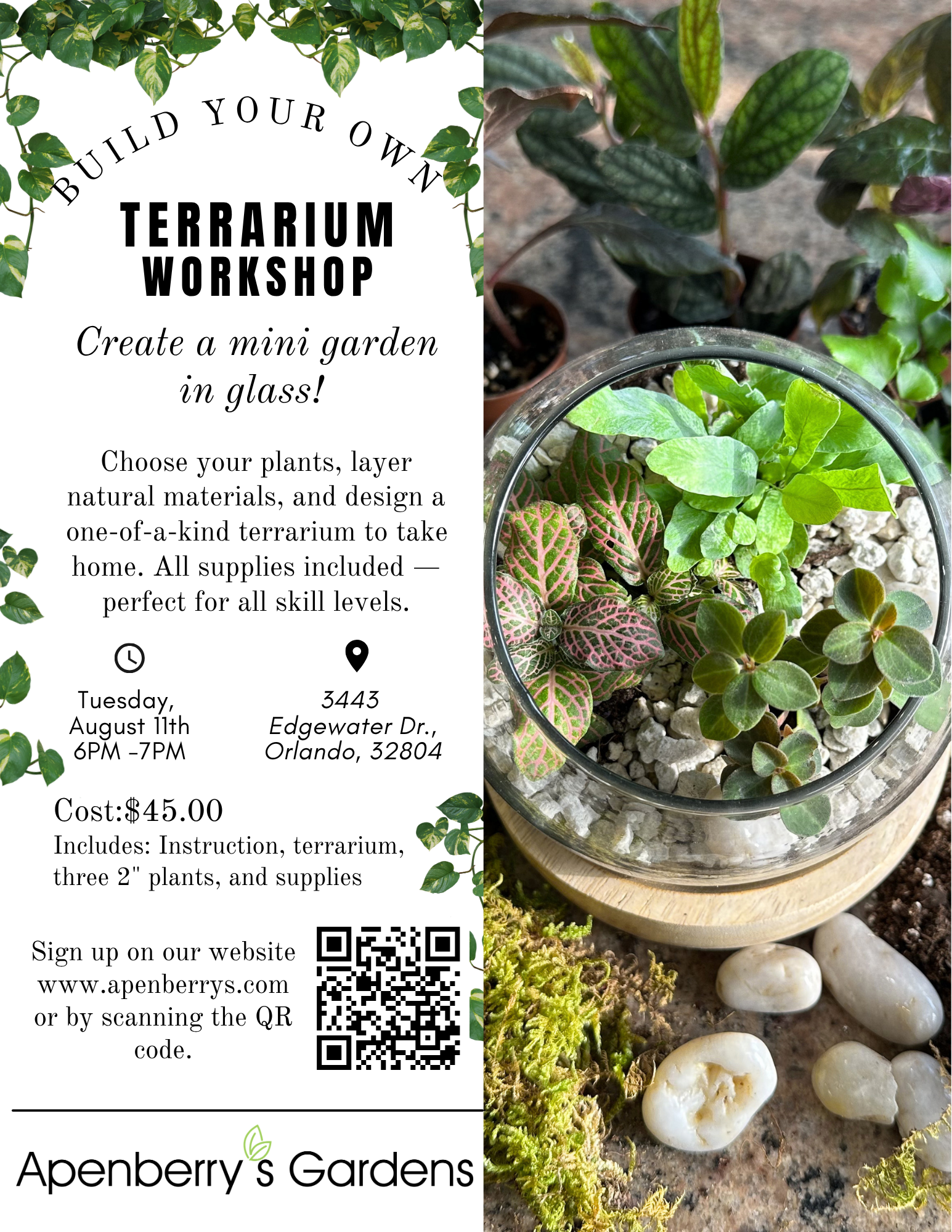 Build Your Own Terrarium