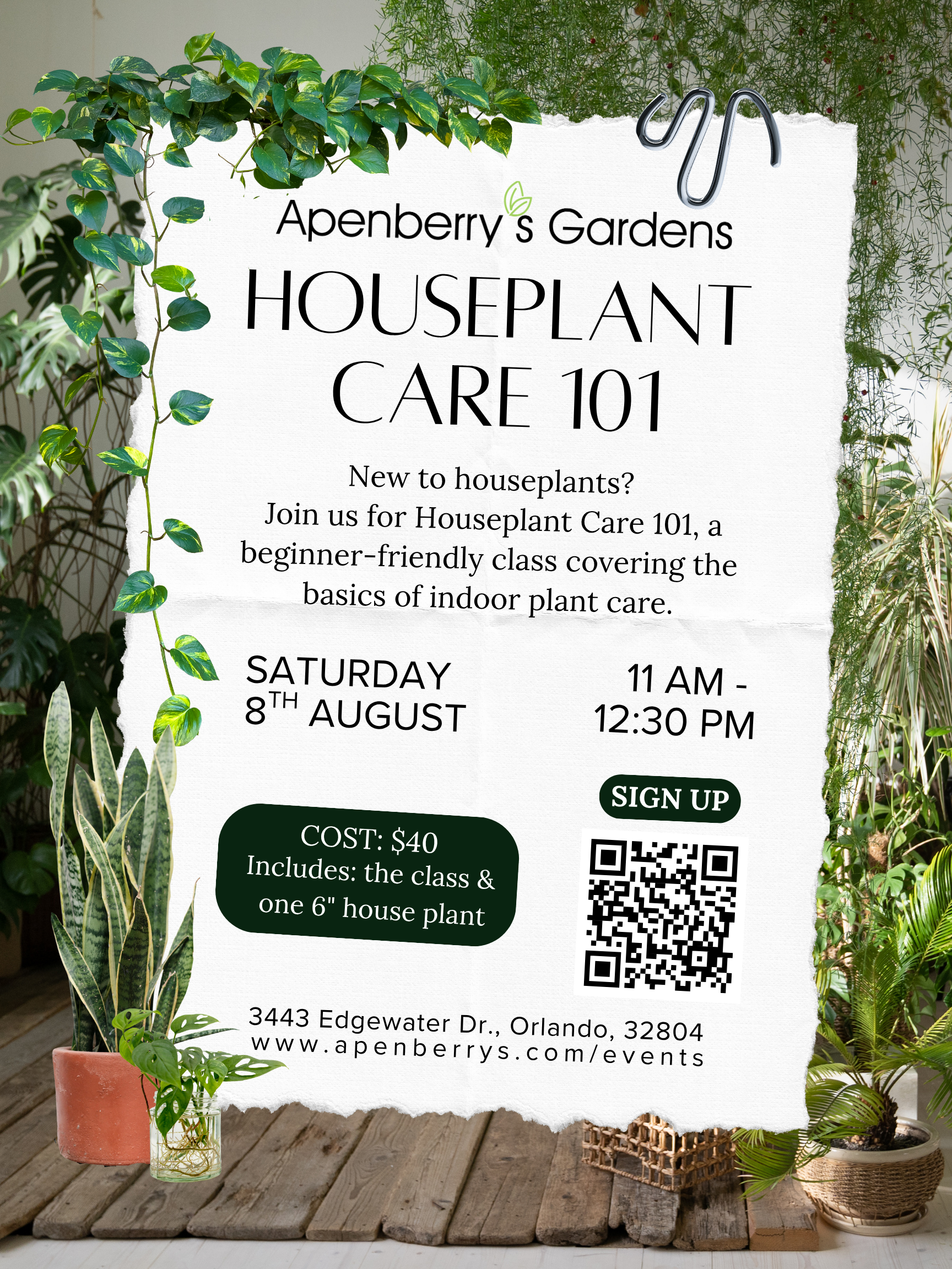 Houseplant Care 101
