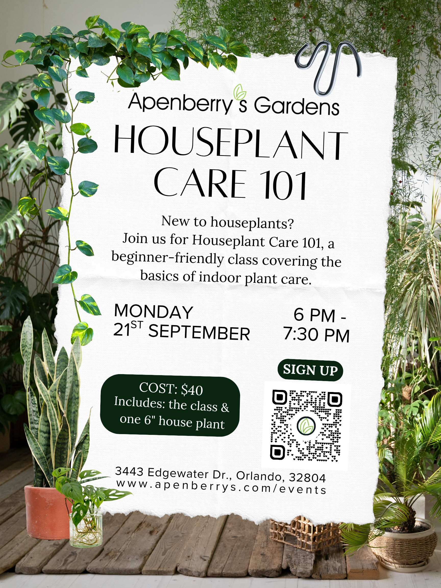 Houseplant Care 101 