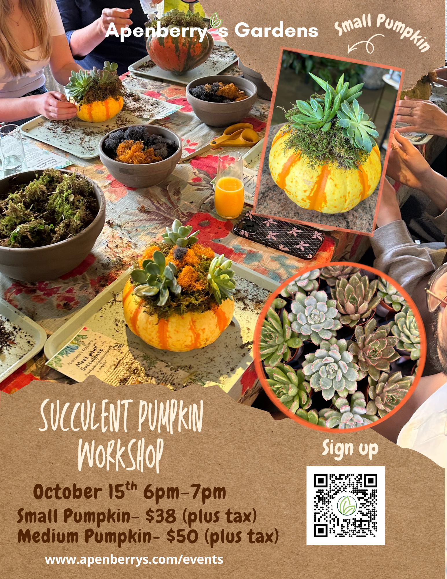 Succulent Pumpkin Workshop