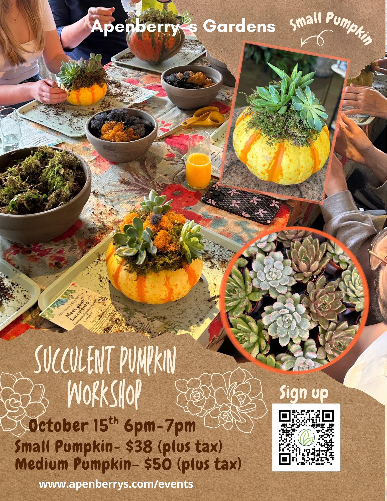 Succulent Pumpkin Workshop