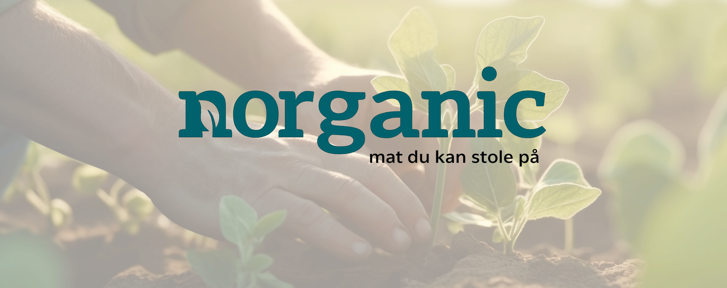 Norganic vender tilbake til feed PIM – orkestrerer hele økosystemet rundt ny netthandel