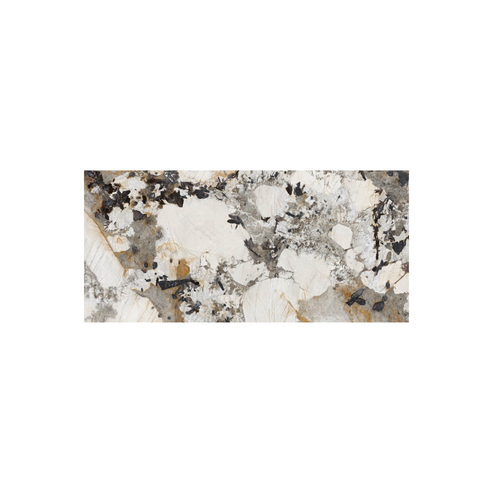 1F2CAC42-7C1E-4615-9483-93E499870101