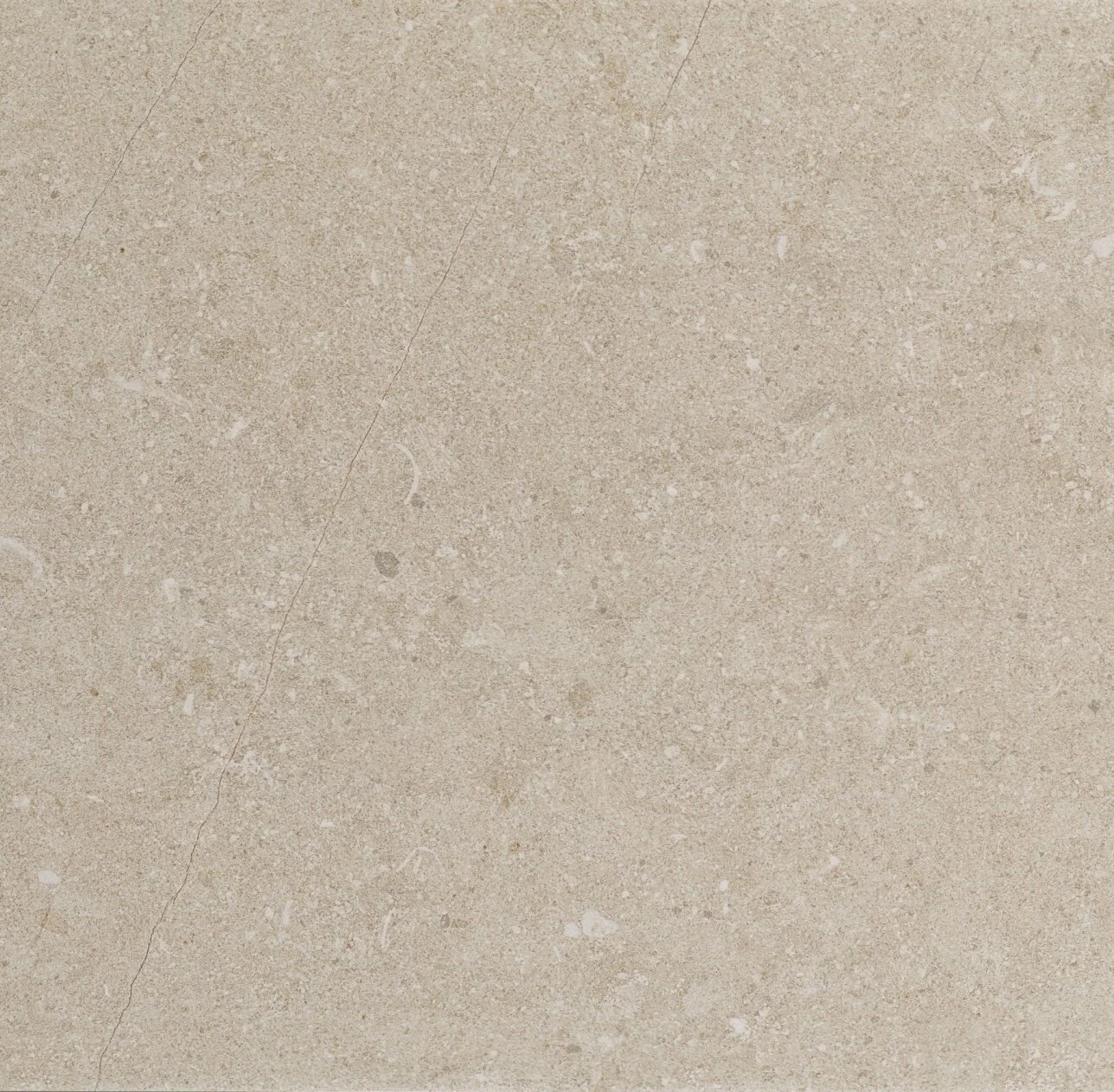 081AD51E-7D6C-4E32-9532-F124332DDD11