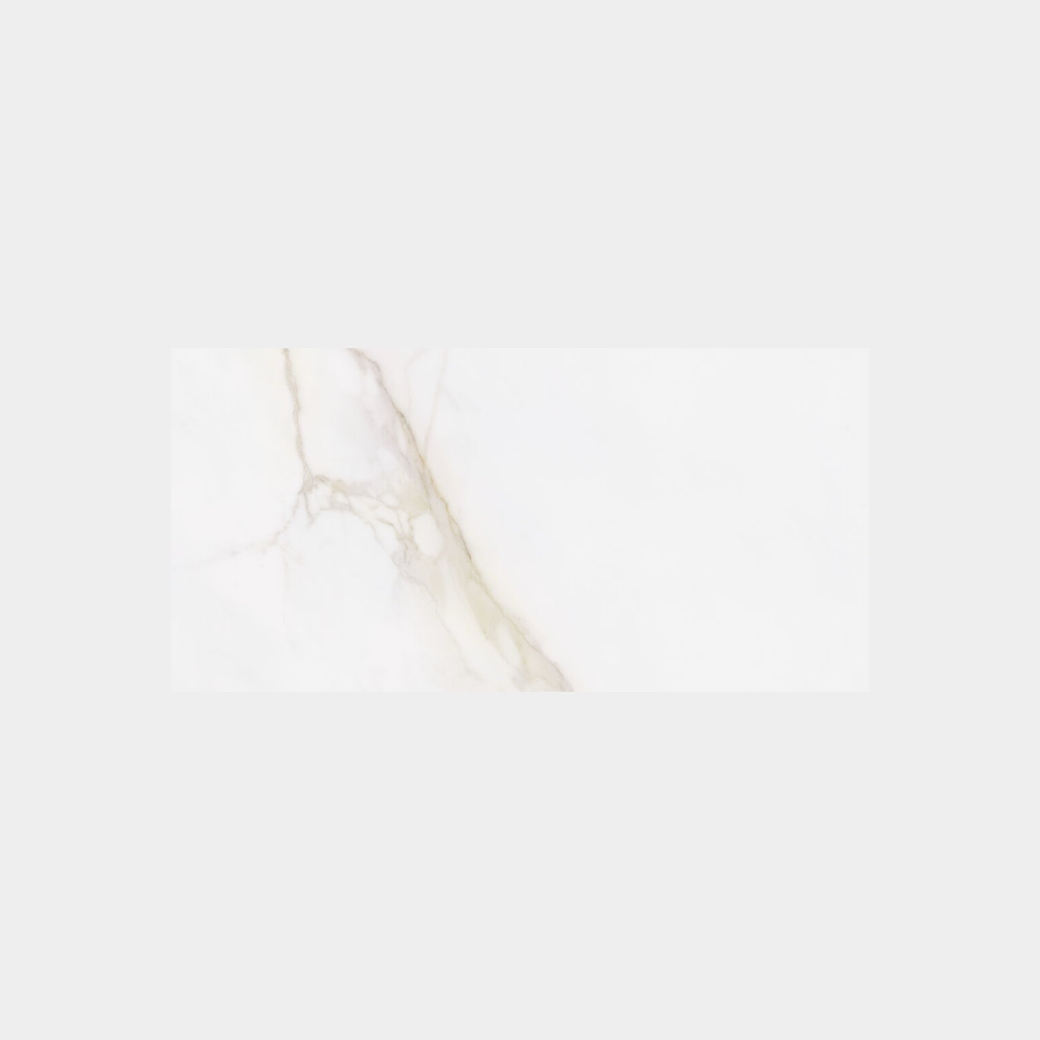 534FD864-B5CD-41D6-B54A-3CCD1F632ECB.jpeg