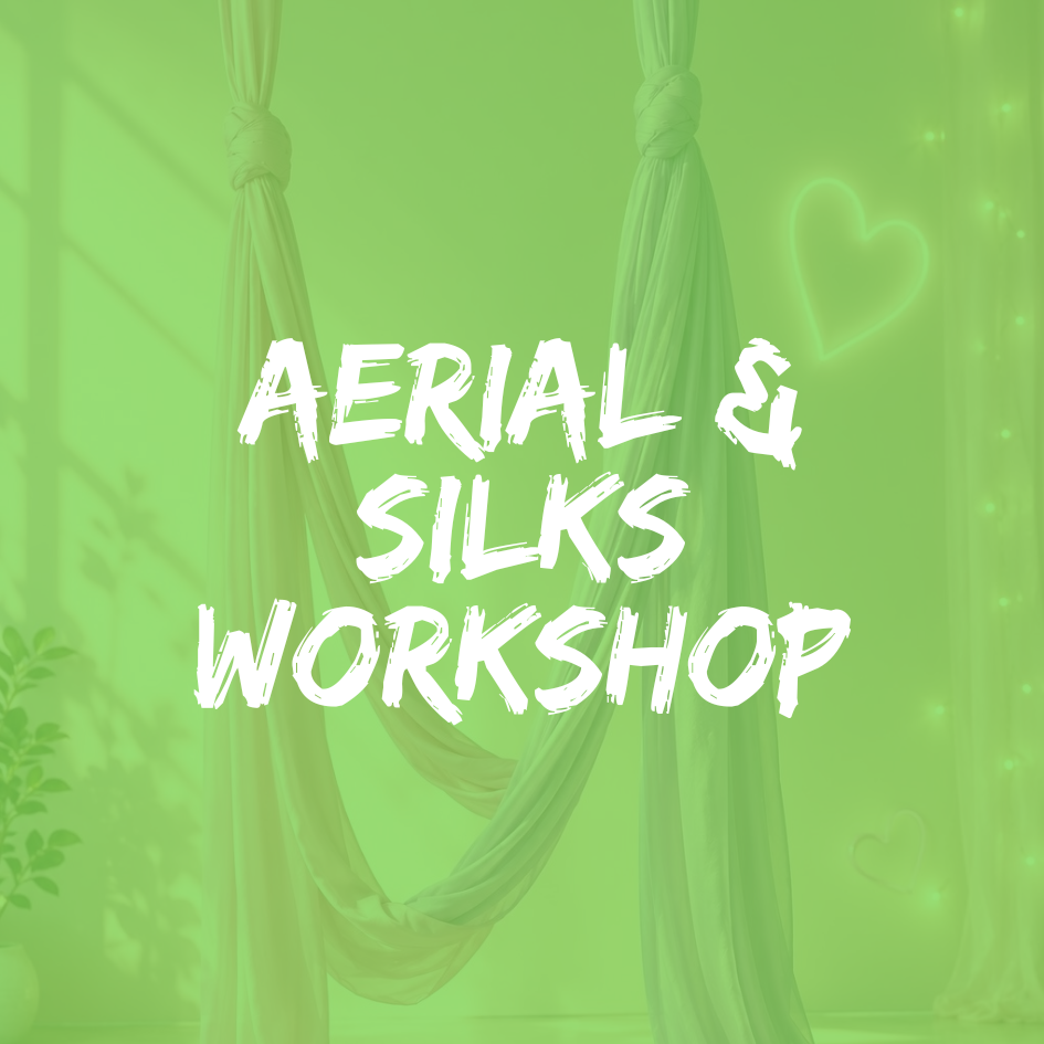 Aeriel &amp; Silks workshop @FPS Fitness Studios