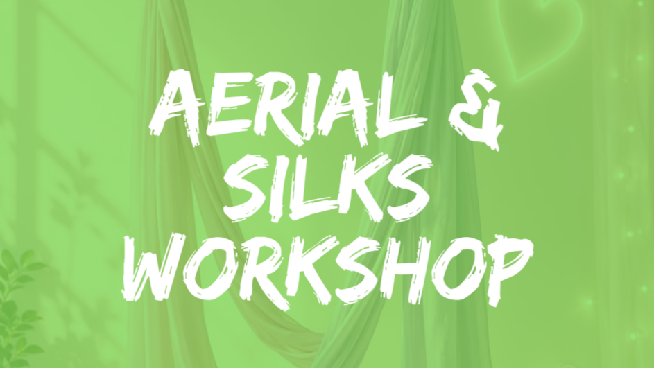 Aerial & Silks workshop