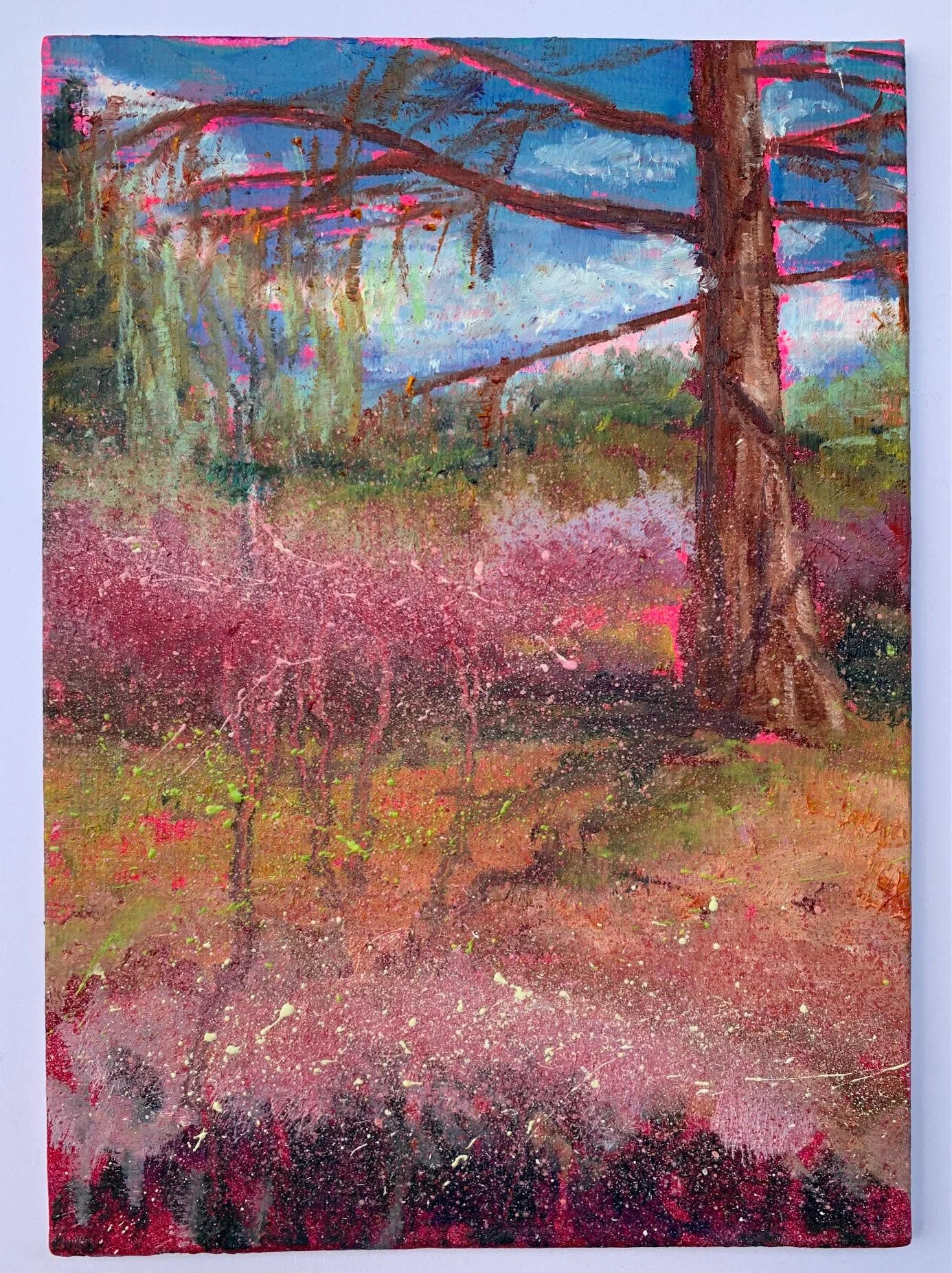 LukeMWalker_Isabella Blooms, Sketch.jpg