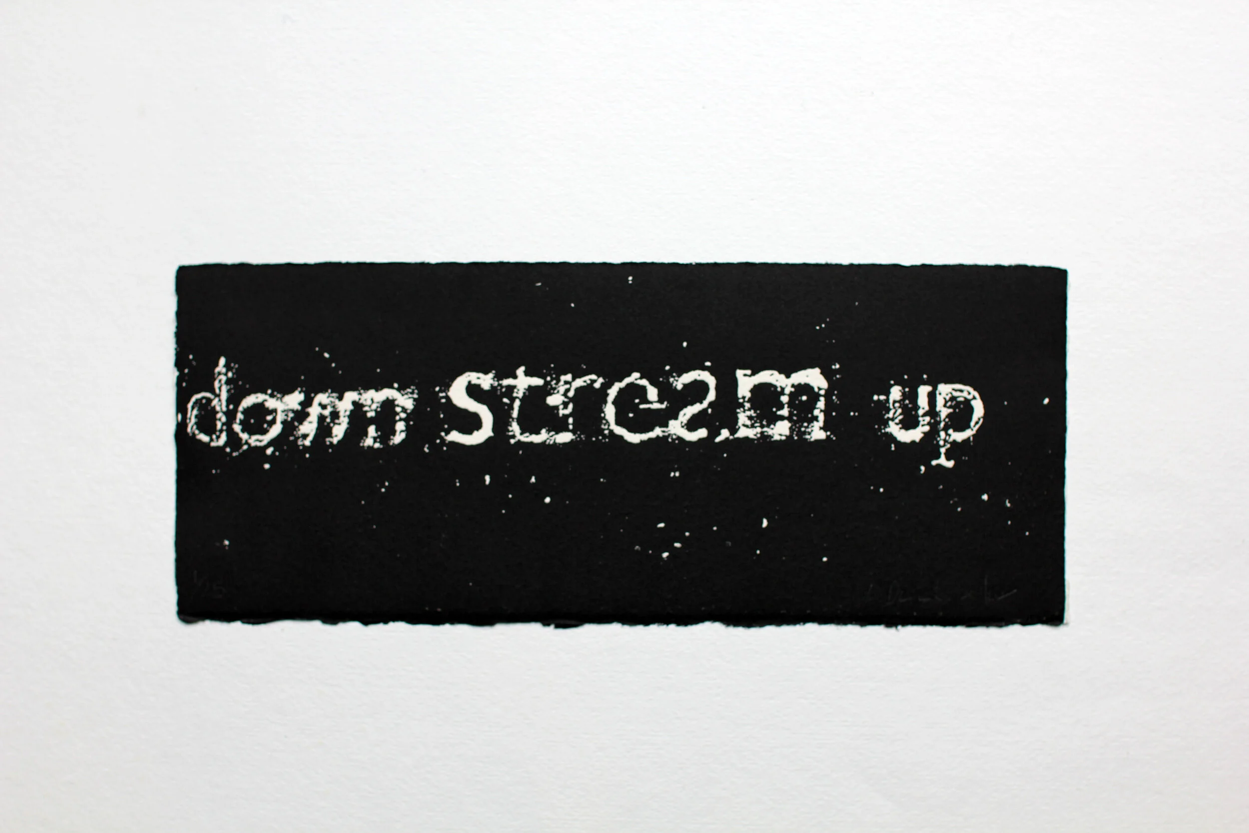 Down Stream Up  ed. print, 2016 (with Lucy Devenish)