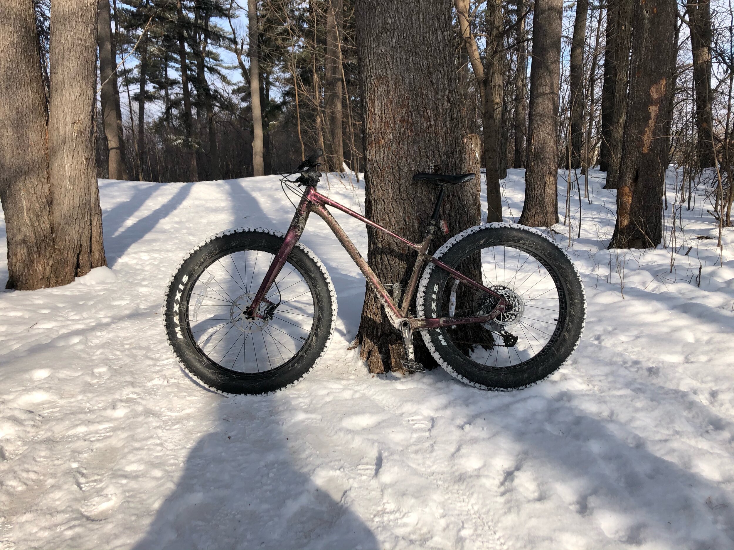 My favourite “cold activity” is winter biking!