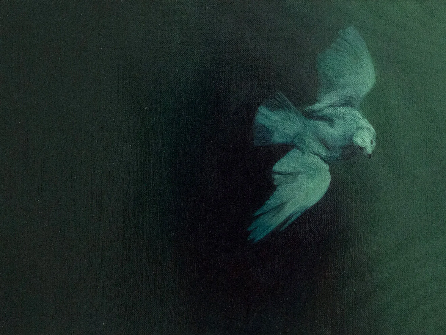 these_dead_birds sigh.jpeg