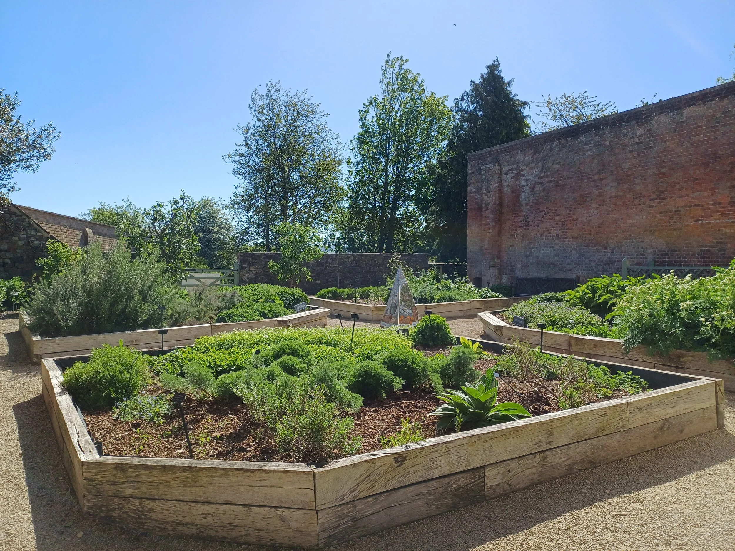 Herb garden.jpg