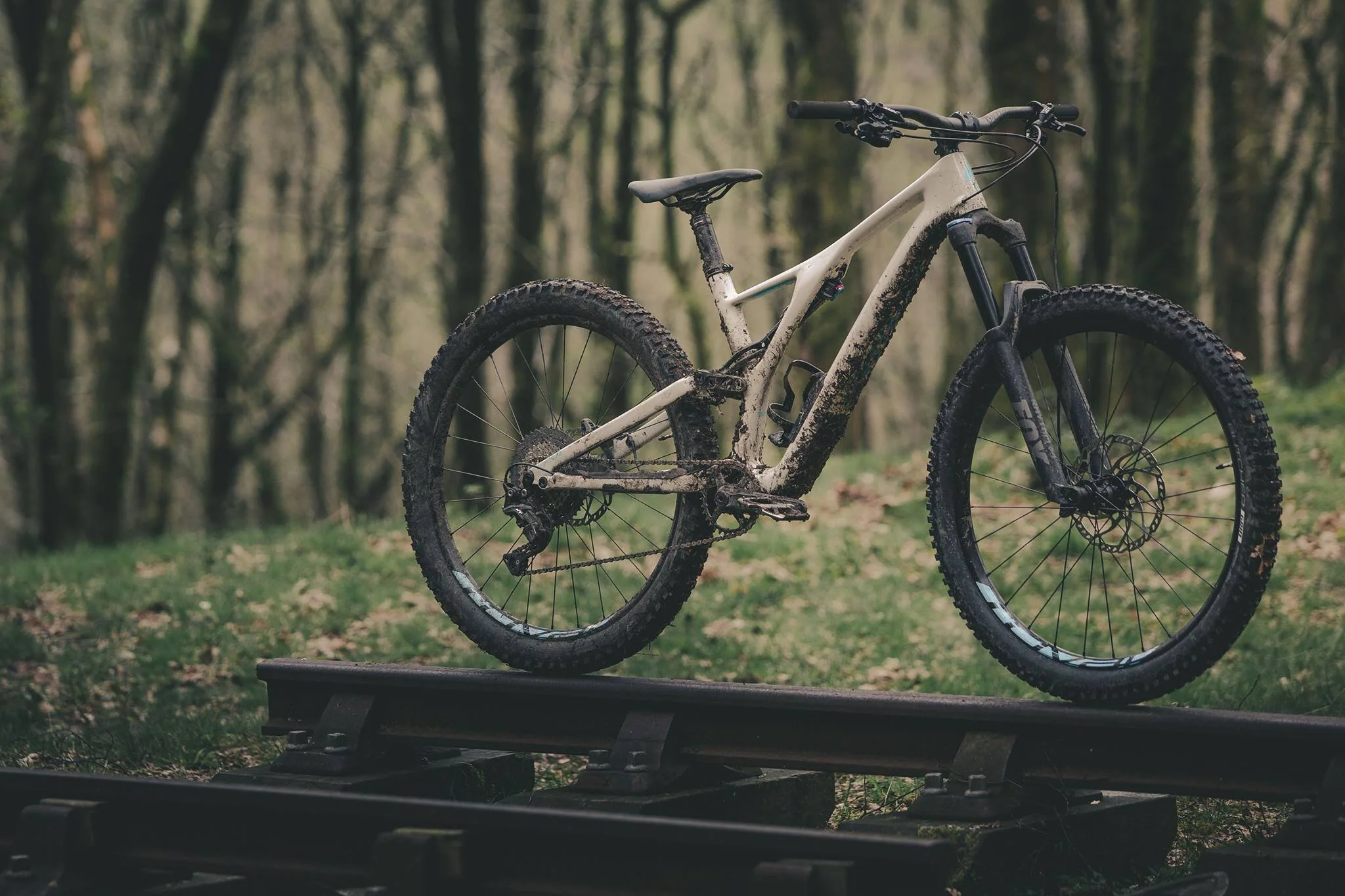 BIKES — PAUL'S CYCLING & FITNESS