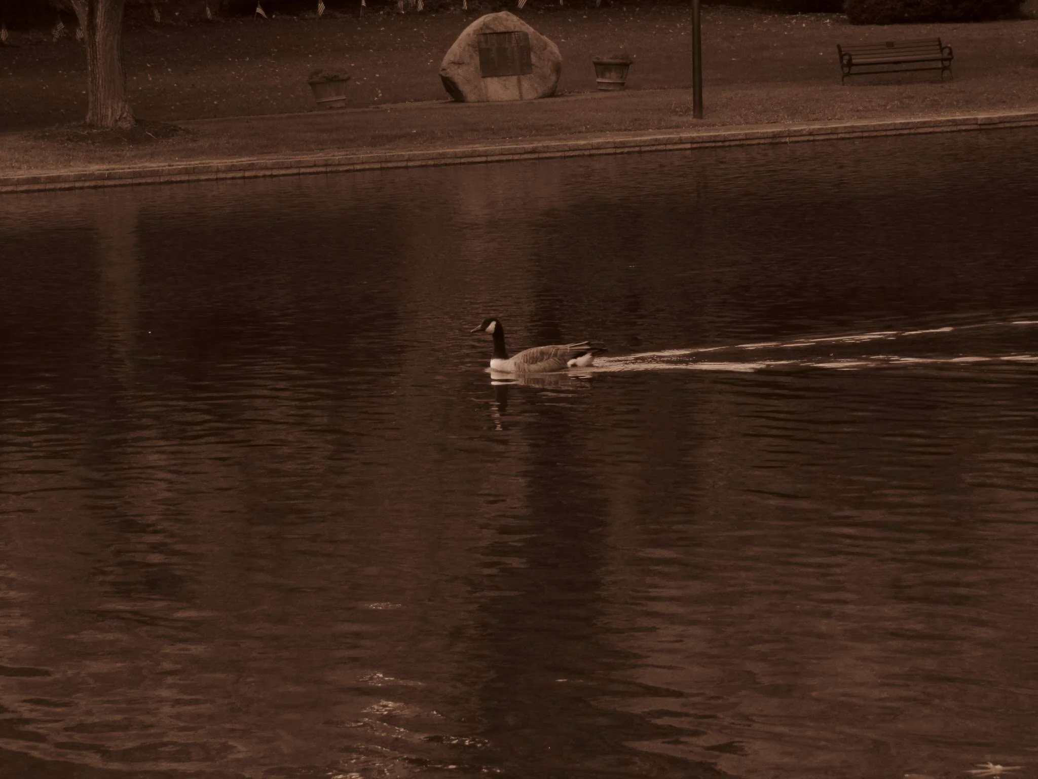 Solitude