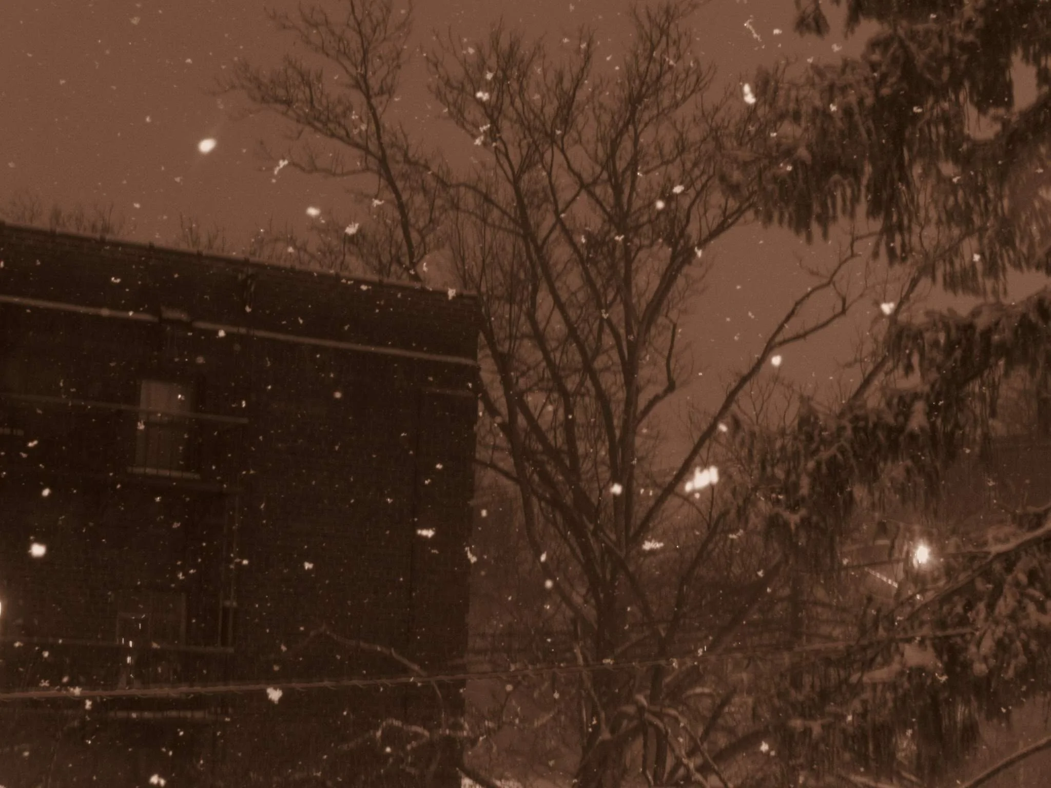 Snowfall