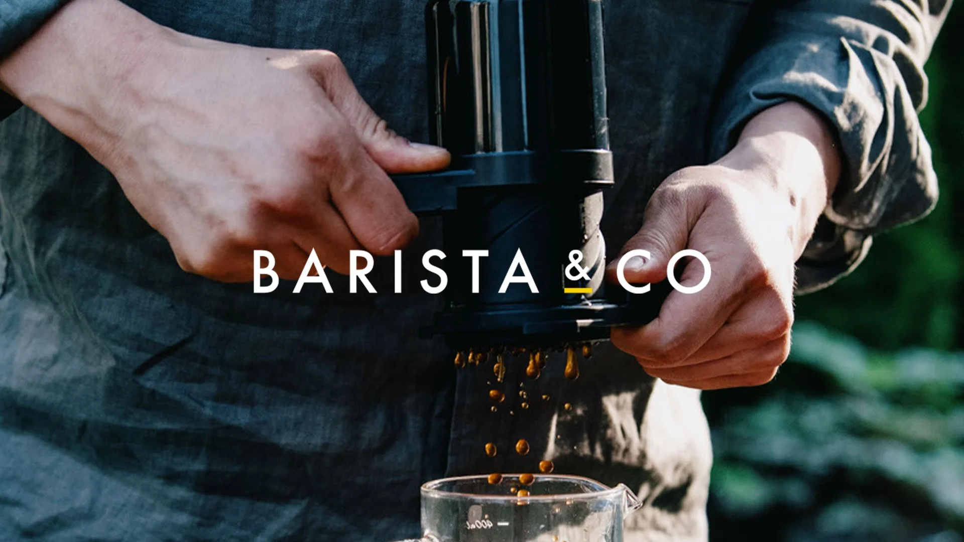 BARISTA & CO