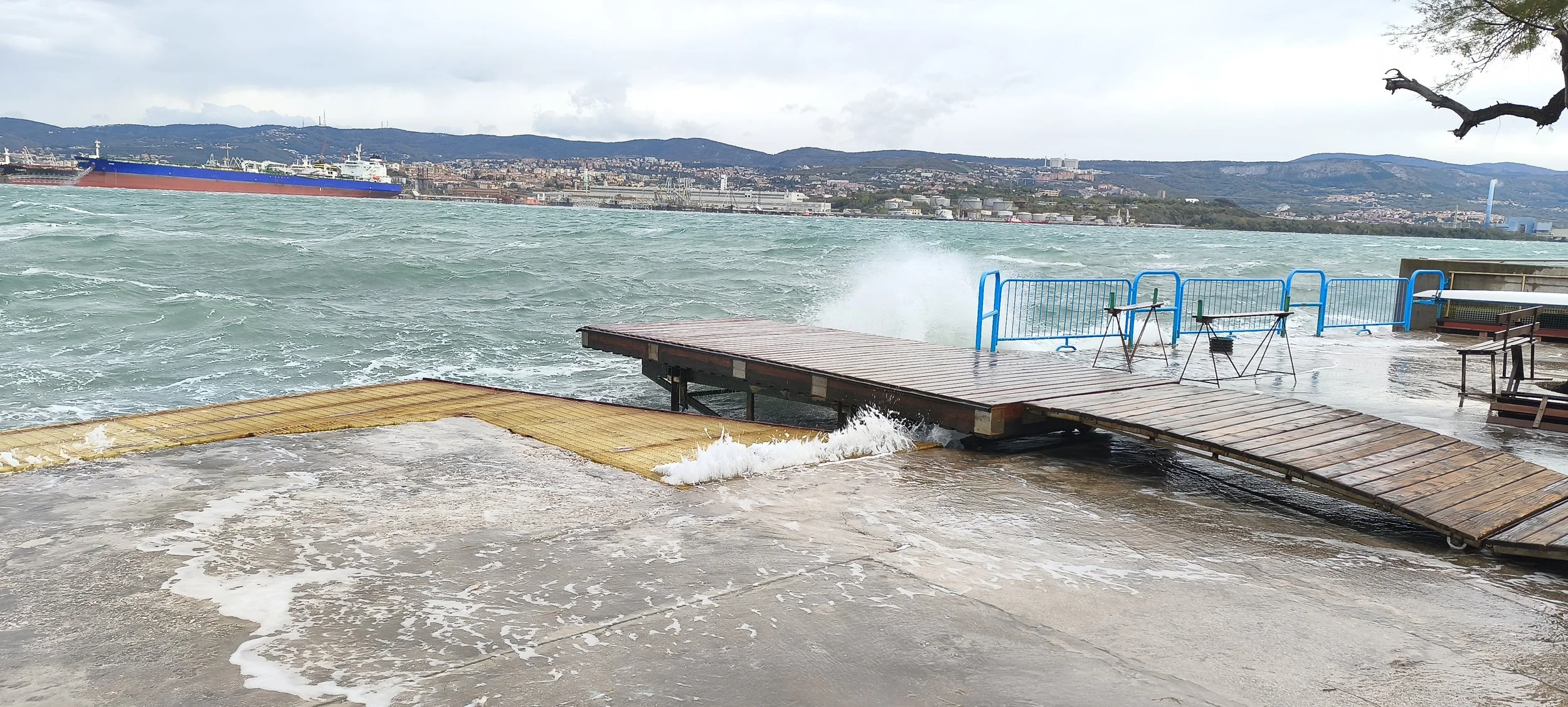 IMG_20251122_091716 - Copia.jpg