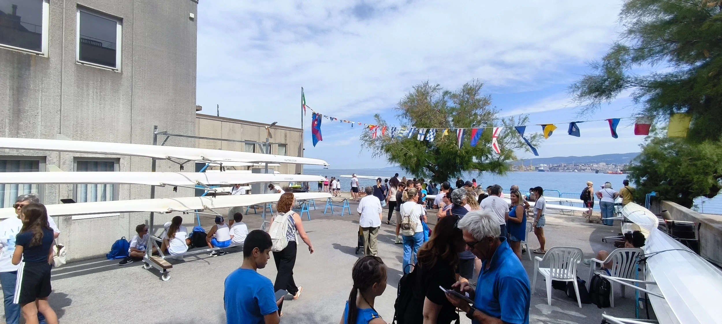 IMG_20260614_100206.jpg