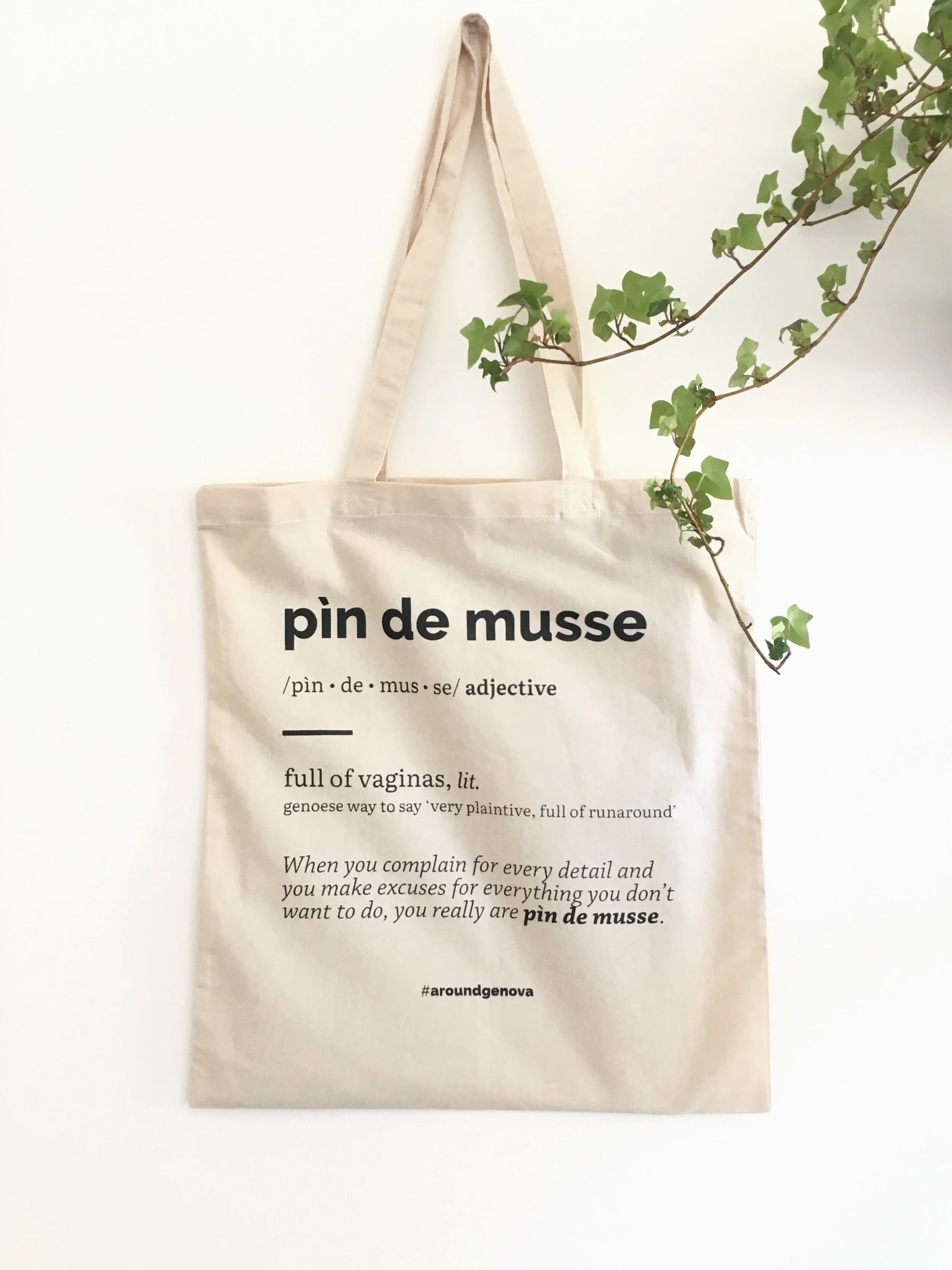 pindemusse2.jpg