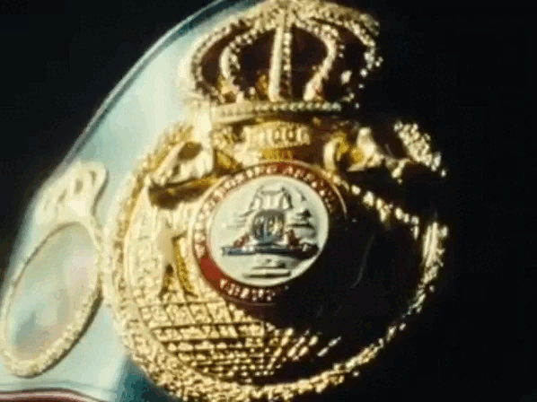 WhatsApp Video 2023-07-28 at 11.40.11.gif