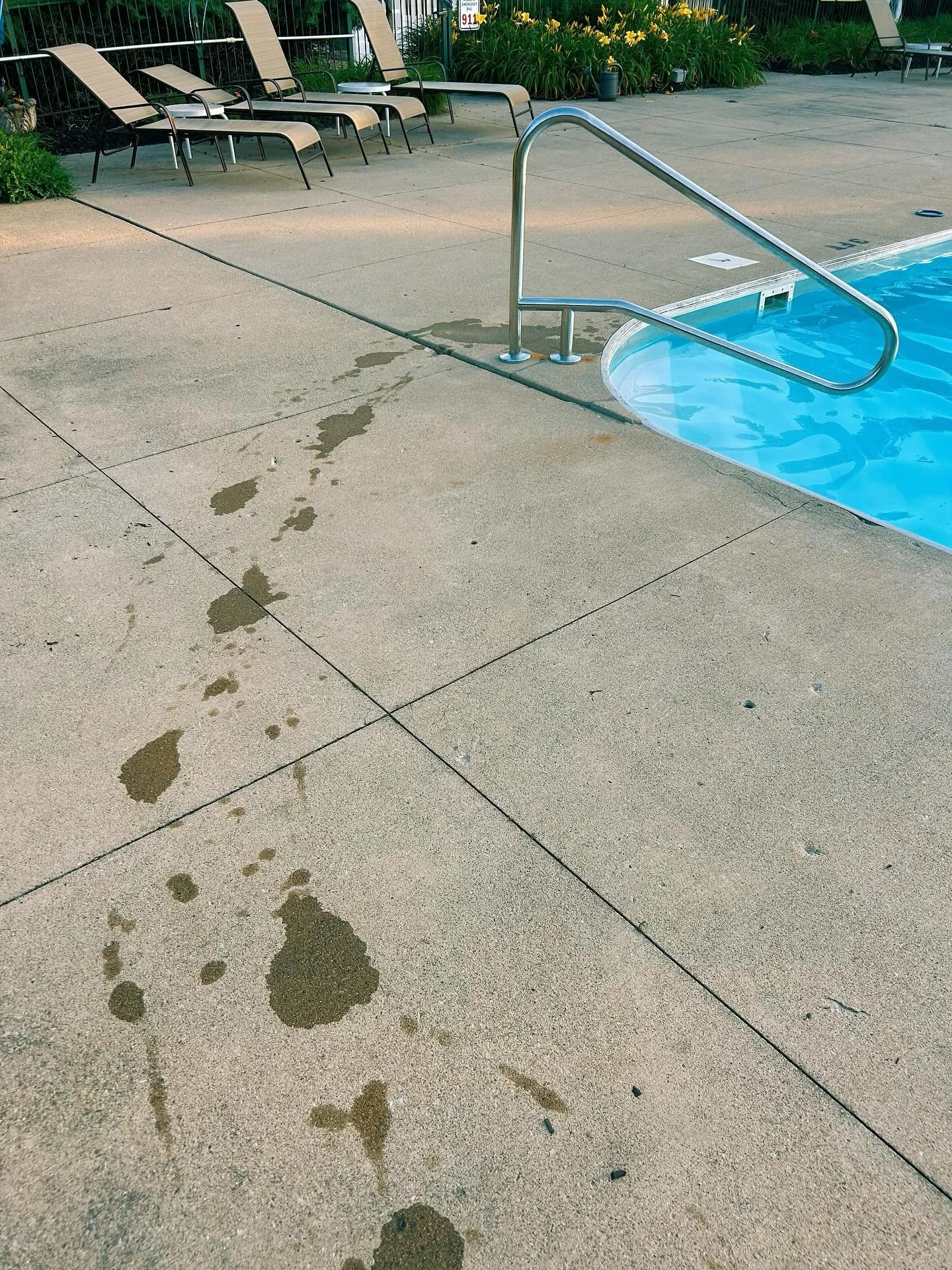 🐬 MOOD ALL SUMMER 🐬