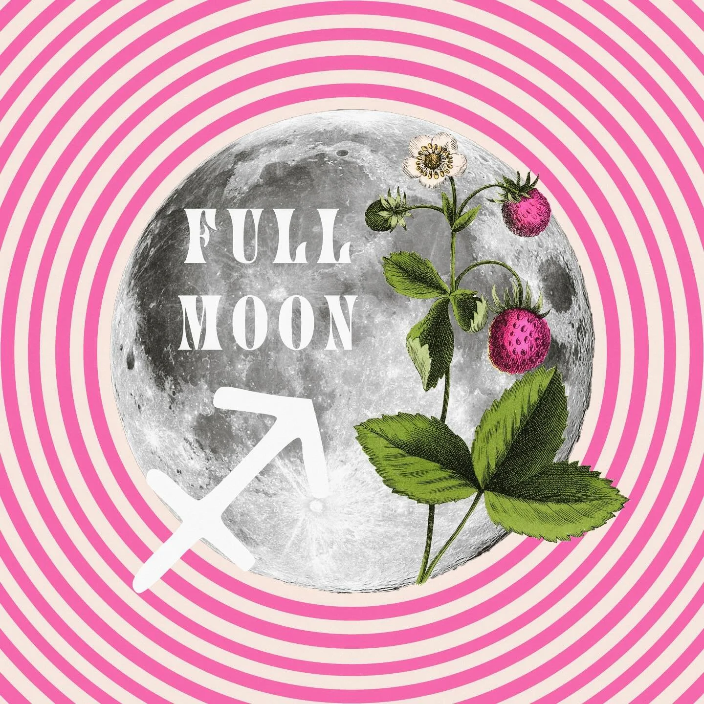 ♐︎ Happy Strawberry Moon / Sagittarius Full Moon~

🌝 This Full Moon is super powerful + expansive for me (as a Sagittarius rising)&mdash; I&rsquo;m feeling it for sure / just feeling called to level-up in so many different ways!

It&rsquo;s nice. ✨
