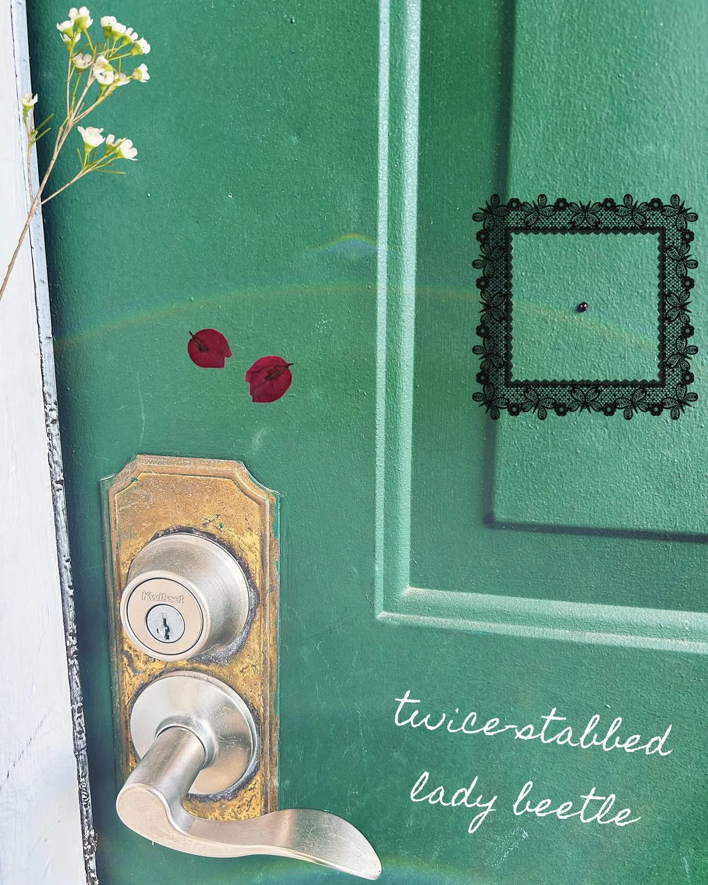 🐞&hellip; On the front door today~

(It&rsquo;s 11:11 rn&hellip; the signs are everywhere!!)

I love the prominence of the # 11 in this post.

&ldquo;11 spiritual insights&rdquo; / 11 slides (unintentional) / I randomly finished posting this at 11:1