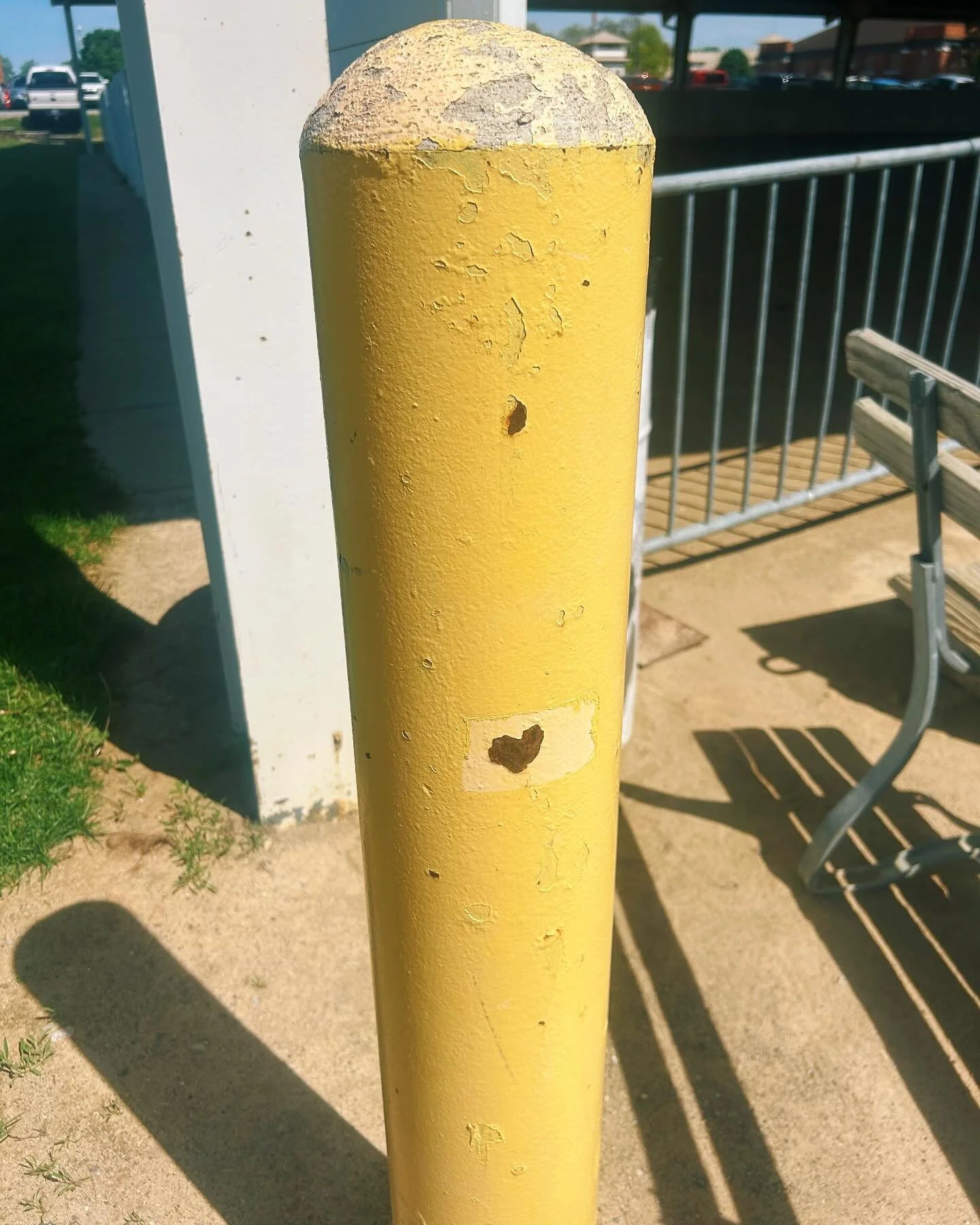 🐾 signs 🐦&zwj;⬛ everywhere 🗝️