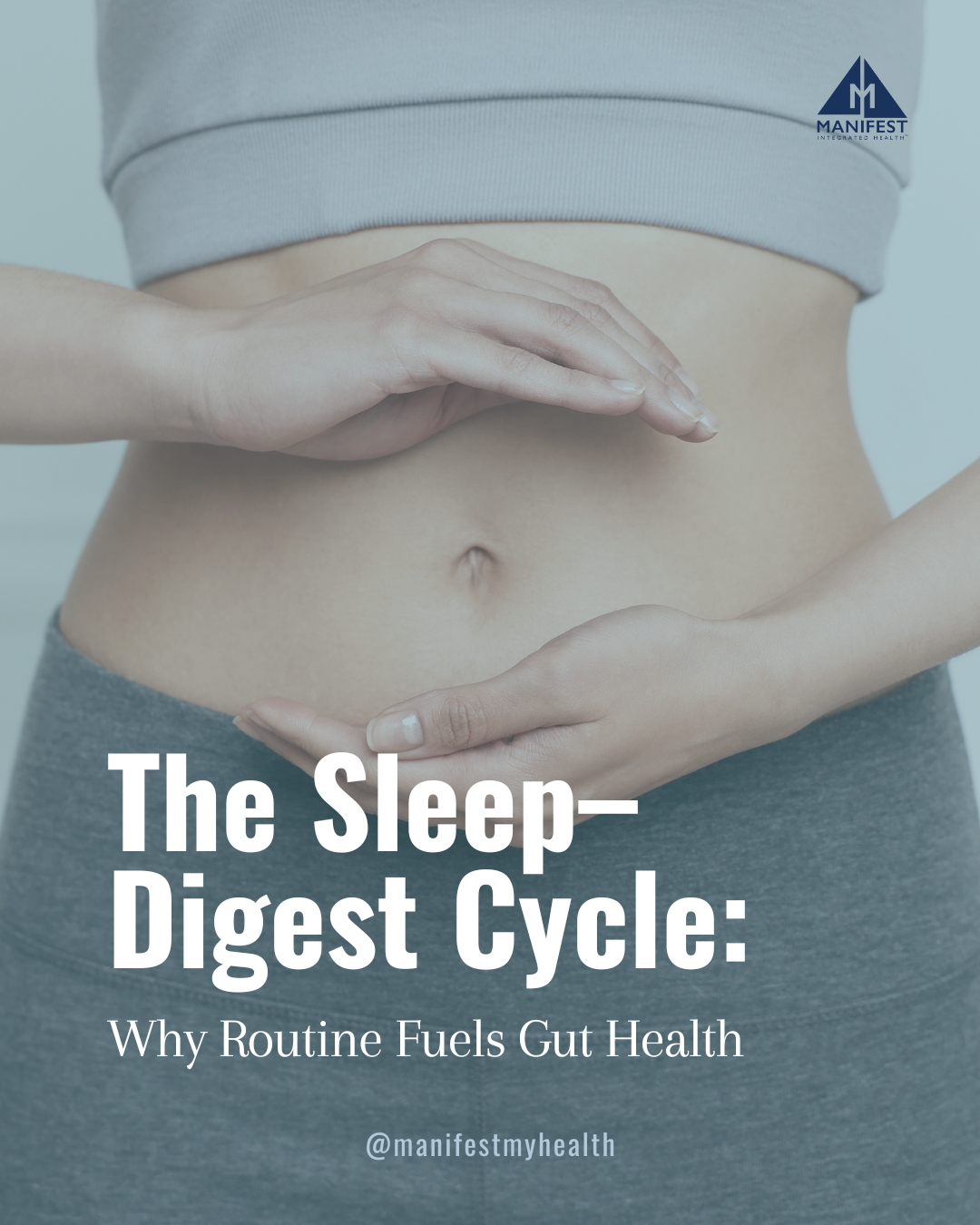 The Sleep–Digest Cycle: Why Routine Fuels Gut Health