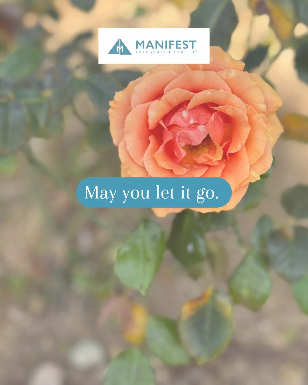 #mettameditation #lovingkindnessmeditation #integratedwellness #mindbodyconnection #balancedlife #manifestintegratedhealth