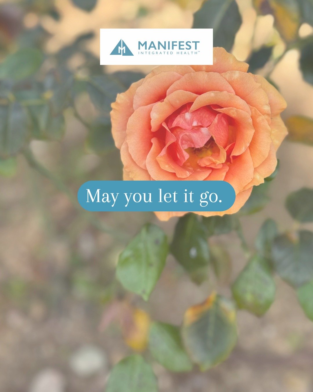 #mettameditation #lovingkindnessmeditation #integratedwellness #mindbodyconnection #balancedlife #manifestintegratedhealth