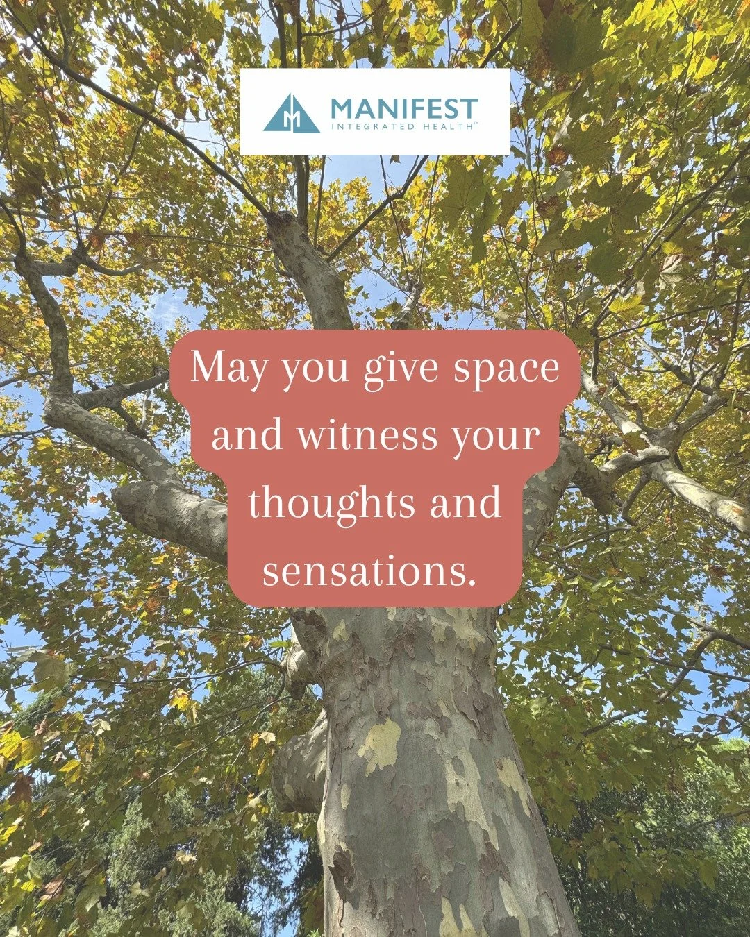 #mettameditation #lovingkindnessmeditation #integratedwellness #mindbodyconnection #balancedlife #manifestintegratedhealth