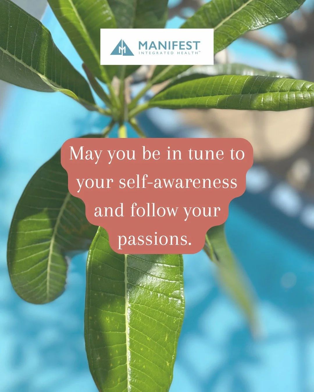 #mettameditation #lovingkindnessmeditation #integratedwellness #mindbodyconnection #balancedlife #manifestintegratedhealth