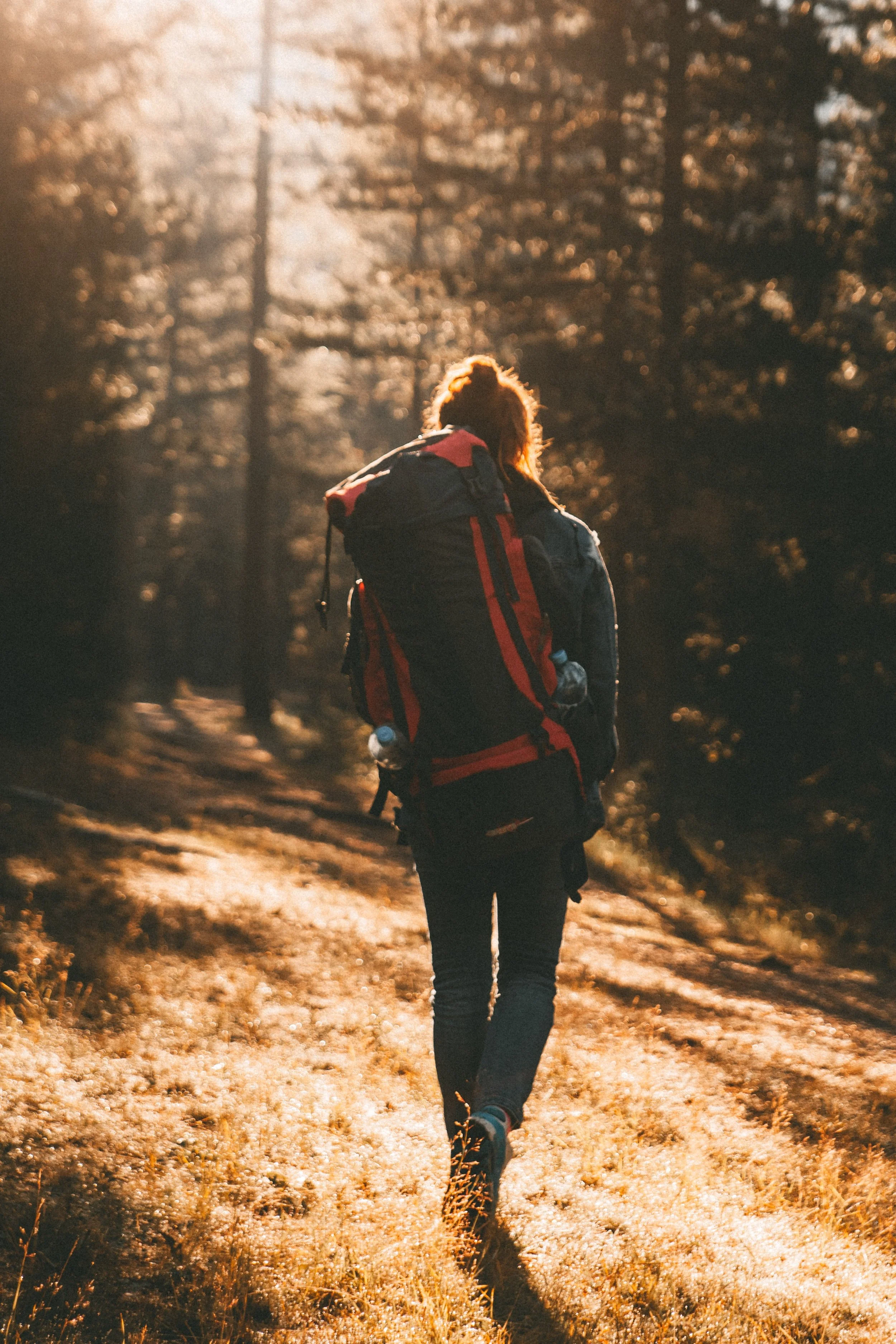 pexels-dmitriy-ganin-7772723-person walking through the woods.jpg