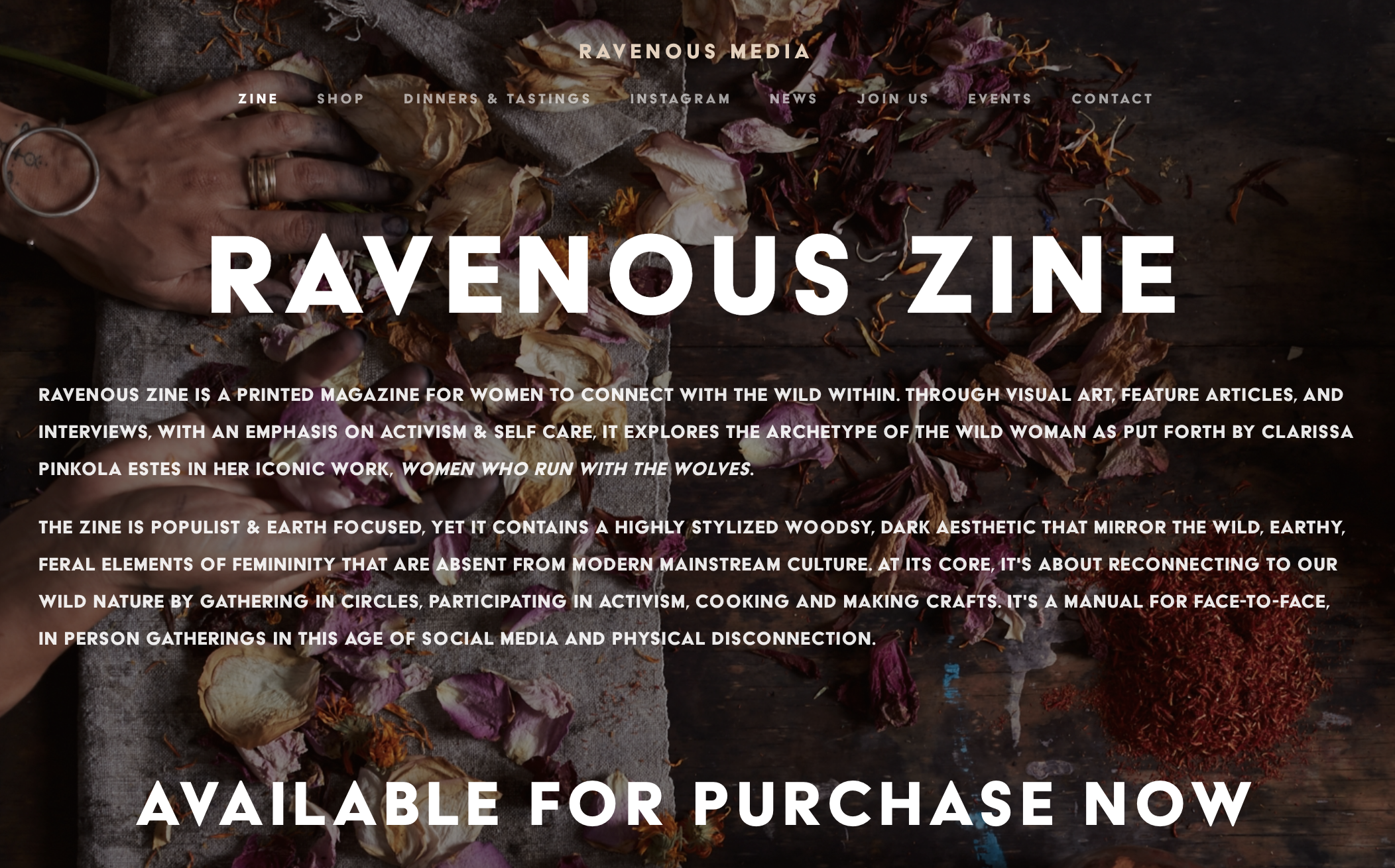 Website Design for Ravenous Media