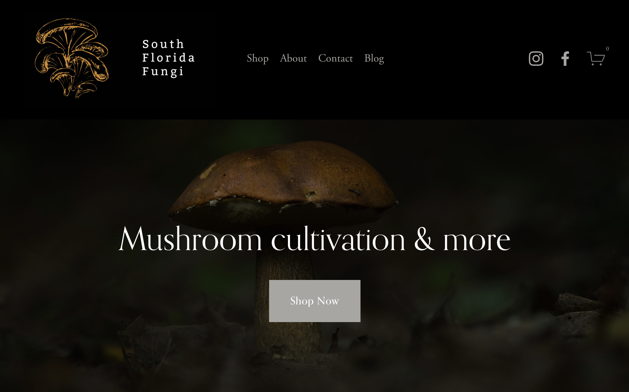 Website Design for South Florida Fungi