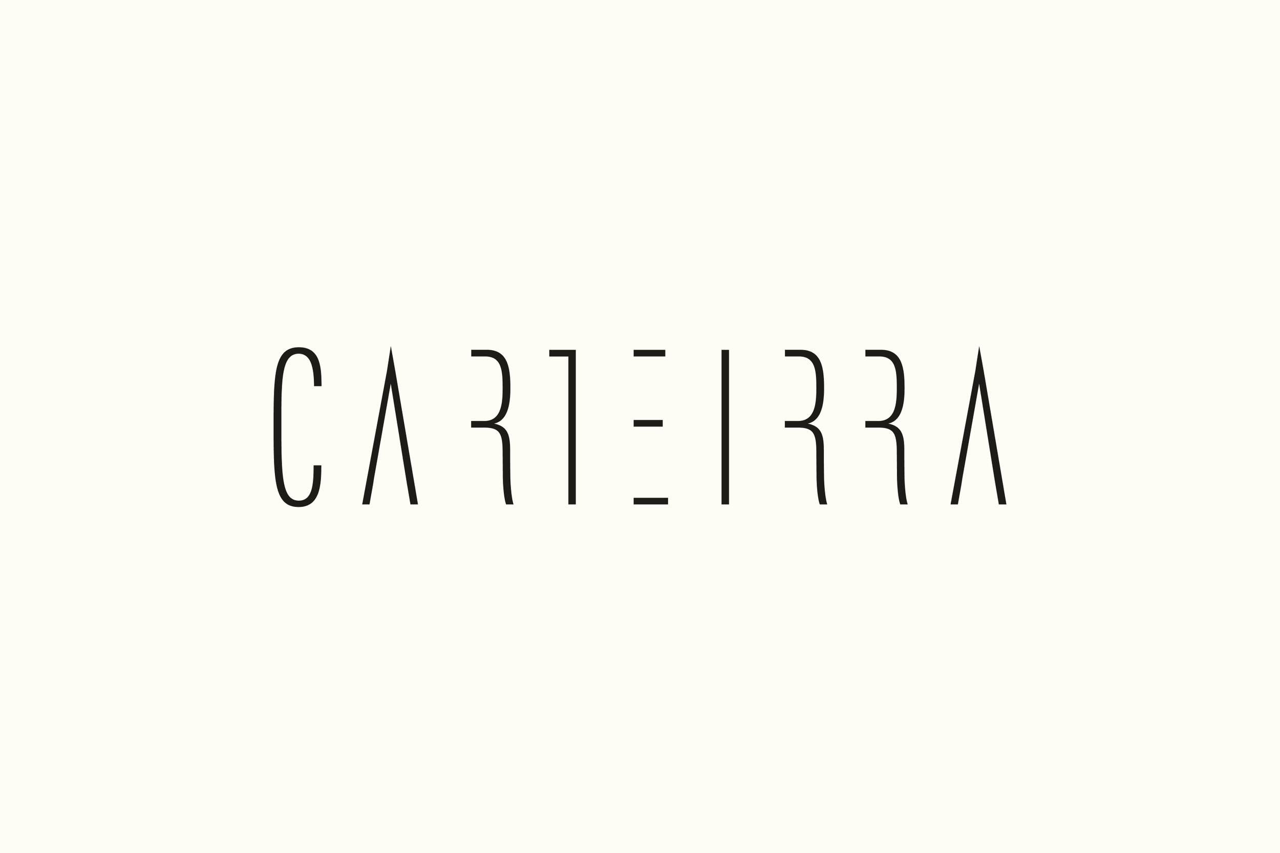 Carteirra - Logo_Website 2x3.png