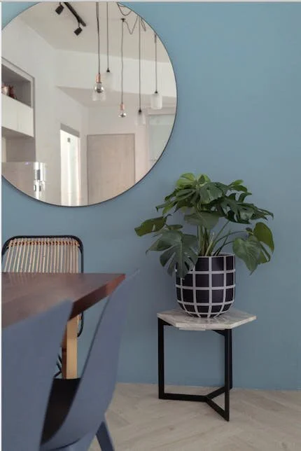 The best indoor plants with tumbleweed plants