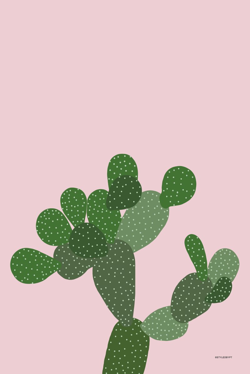 Peach Cactus