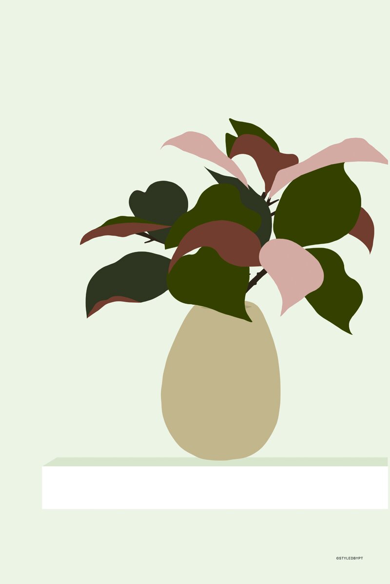 House plant 2