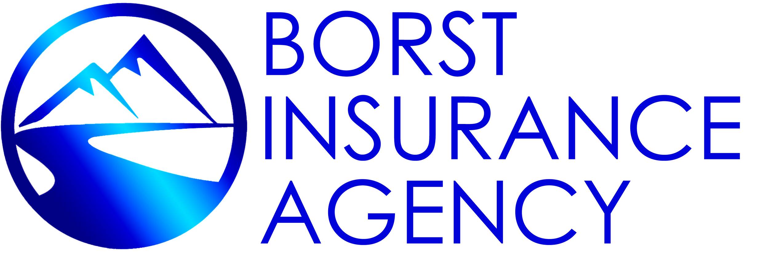 Borst Logo.png