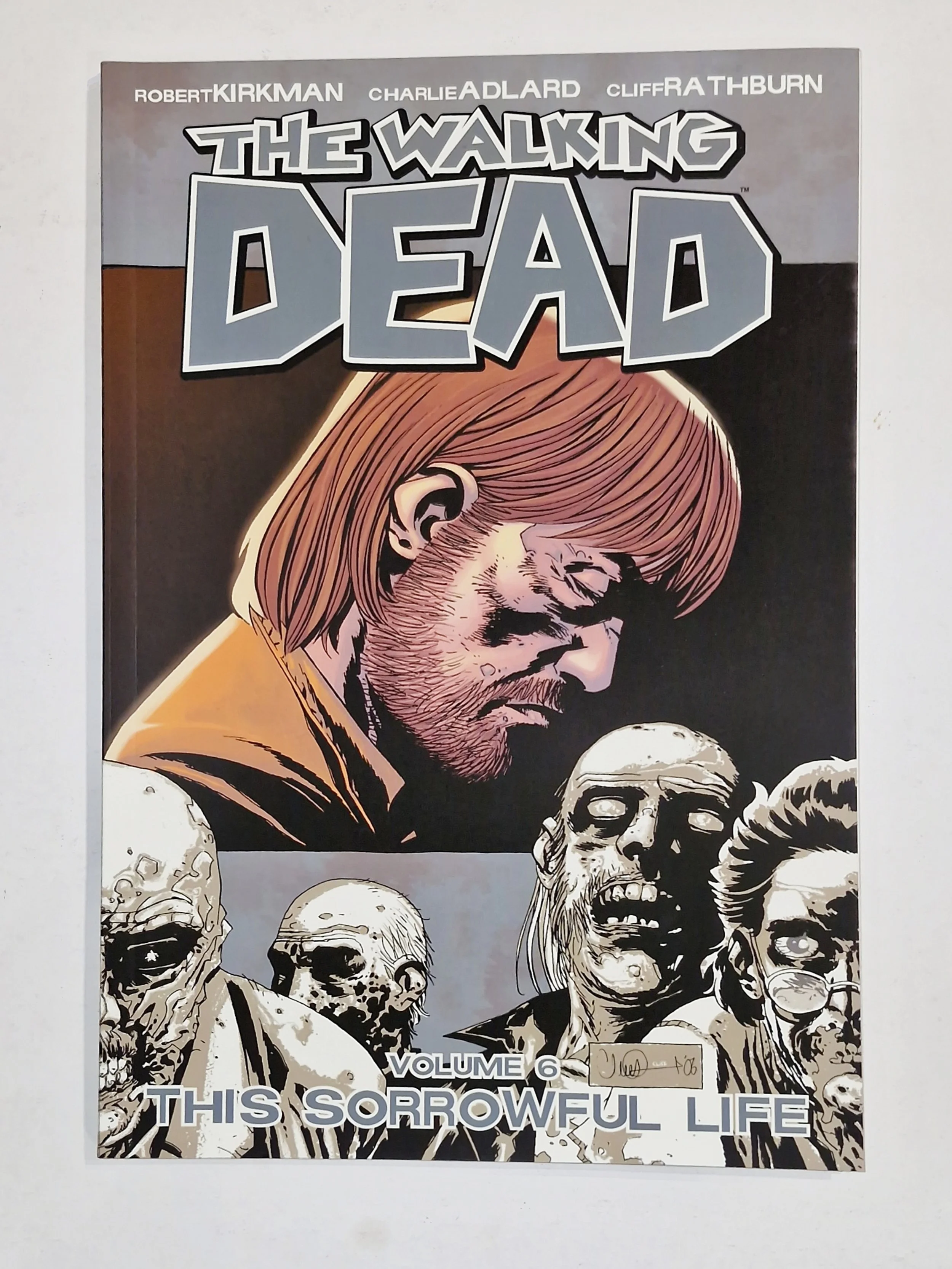 The Walking Dead (This Sorrowful Life) - Vol 6