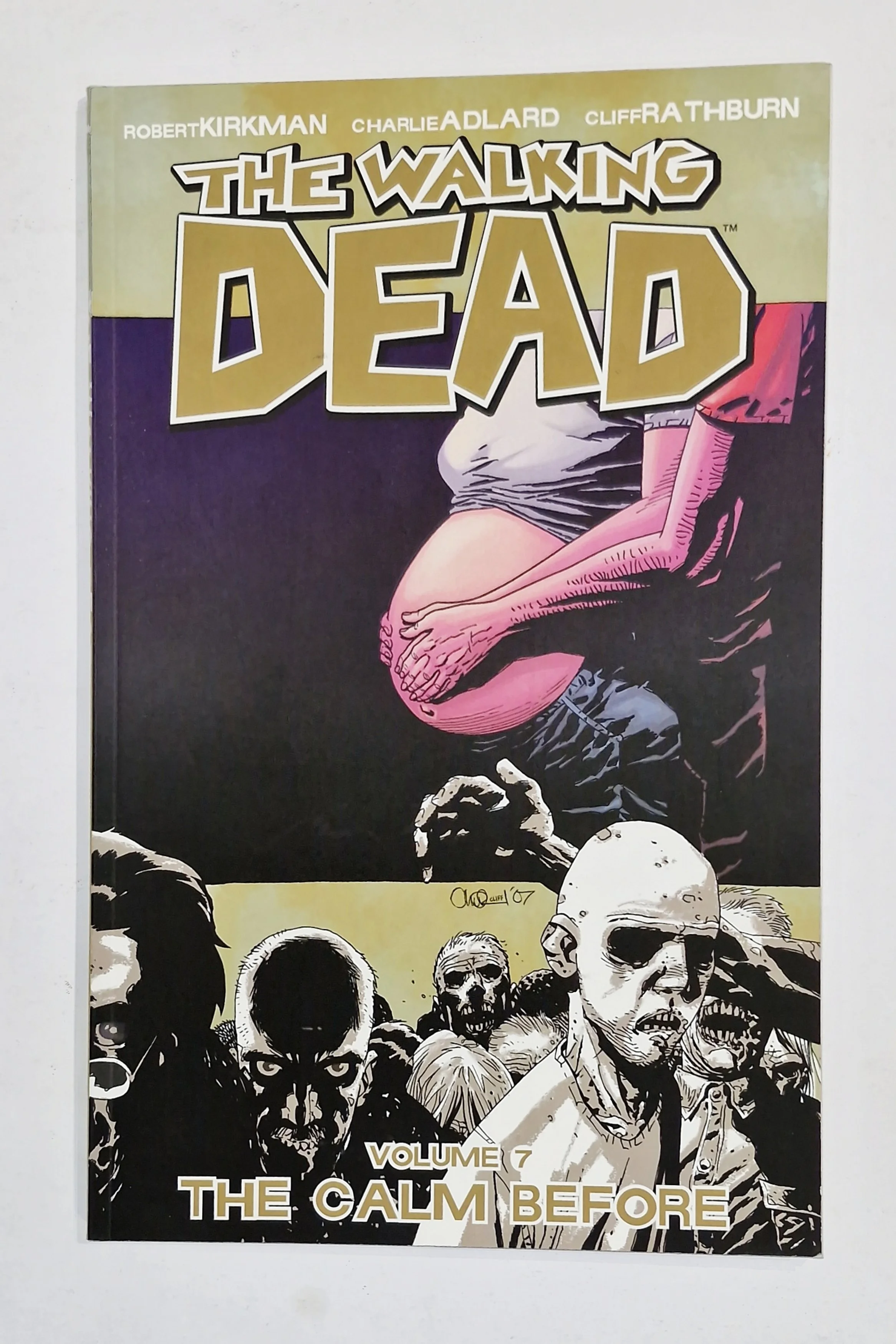 The Walking Dead (The Calm Before) - Vol 7