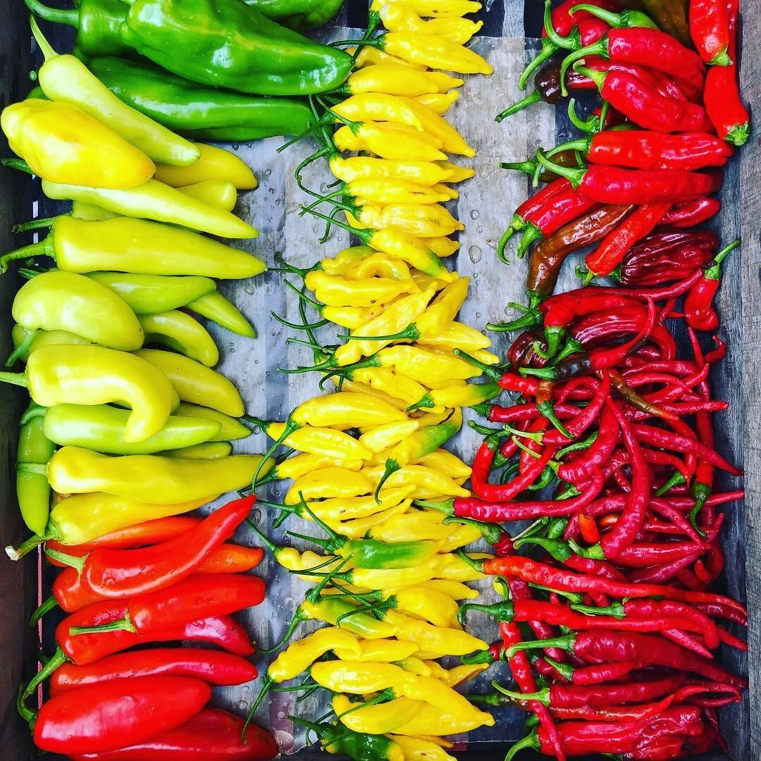 Maitland Mountain Farm