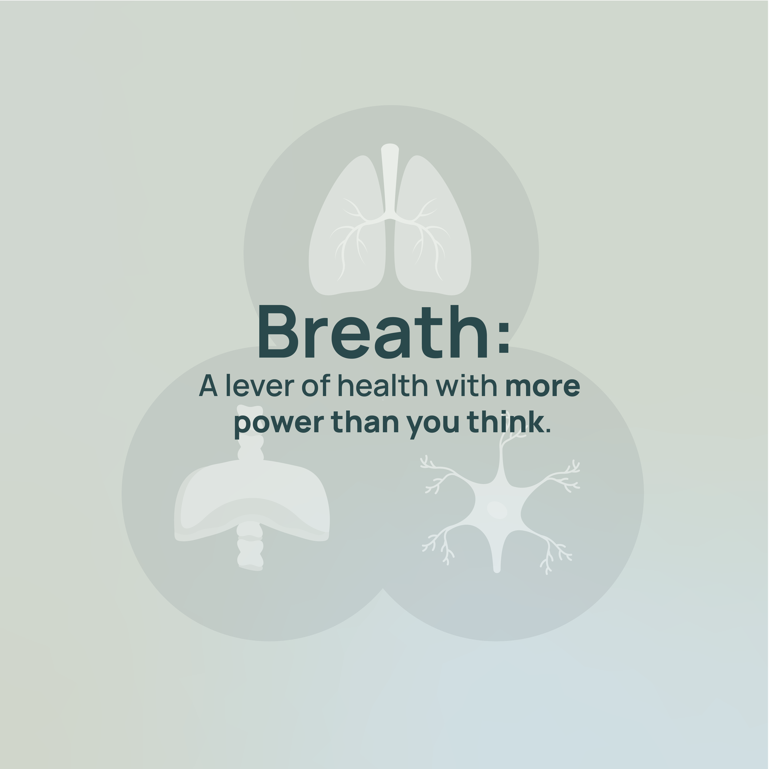 How Breathing Shapes Your Health and Why We Use PNOĒ