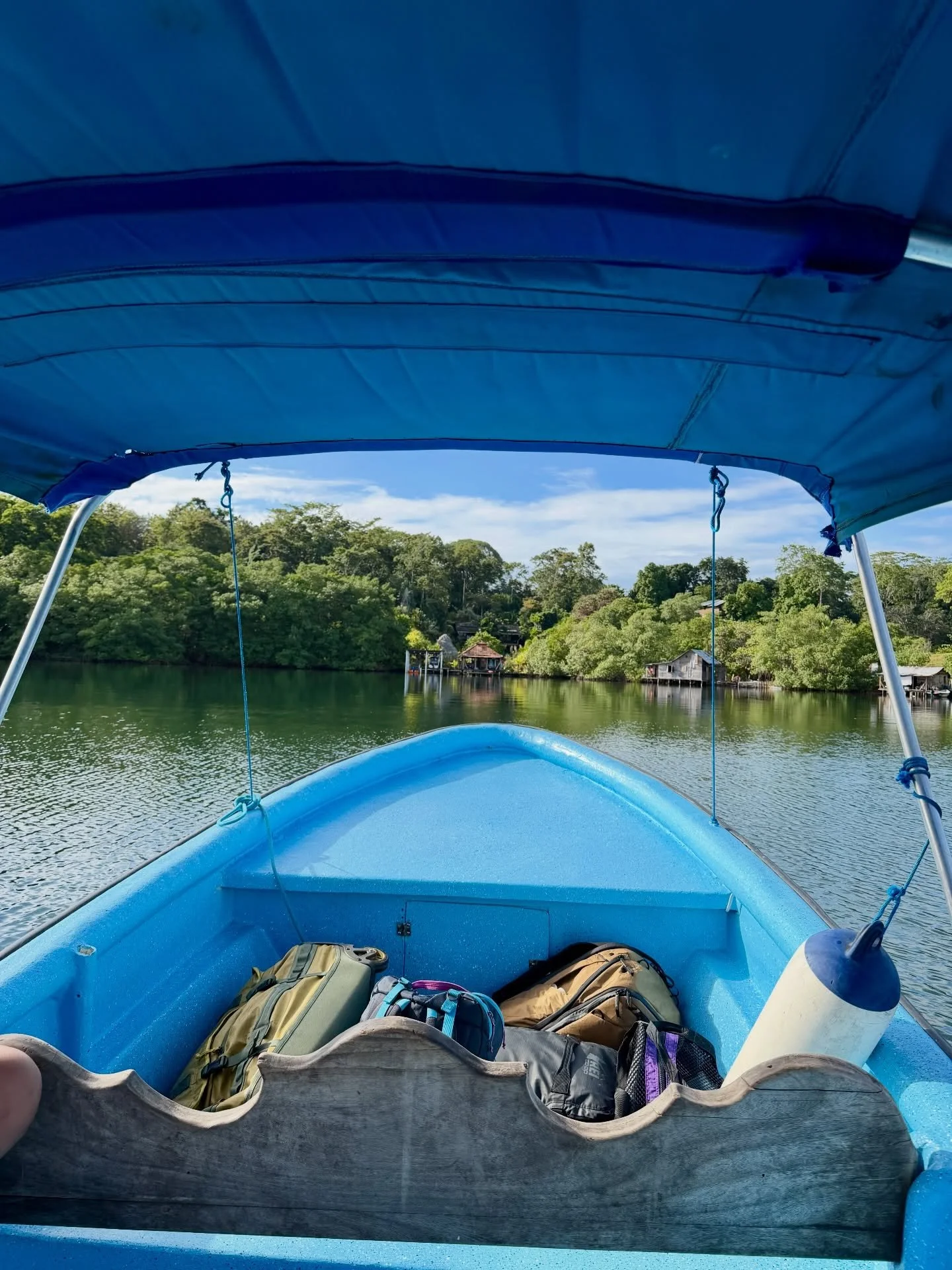 We wrapped up our trip with a couple of relaxing days at @dolphinbayhideaway. Staying here also meant sharing the space with a family visiting from Argentina, a perfect chance for me to work on my Spanish during our communal dinners. Additionally, we